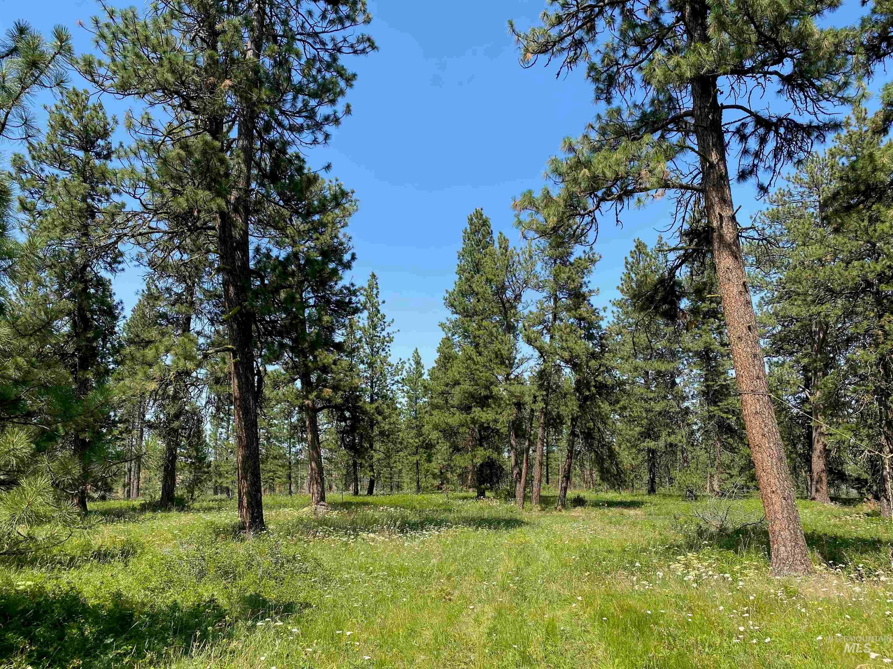 NNA Cloverland Road, Asotin, WA 99402 — photo 2
