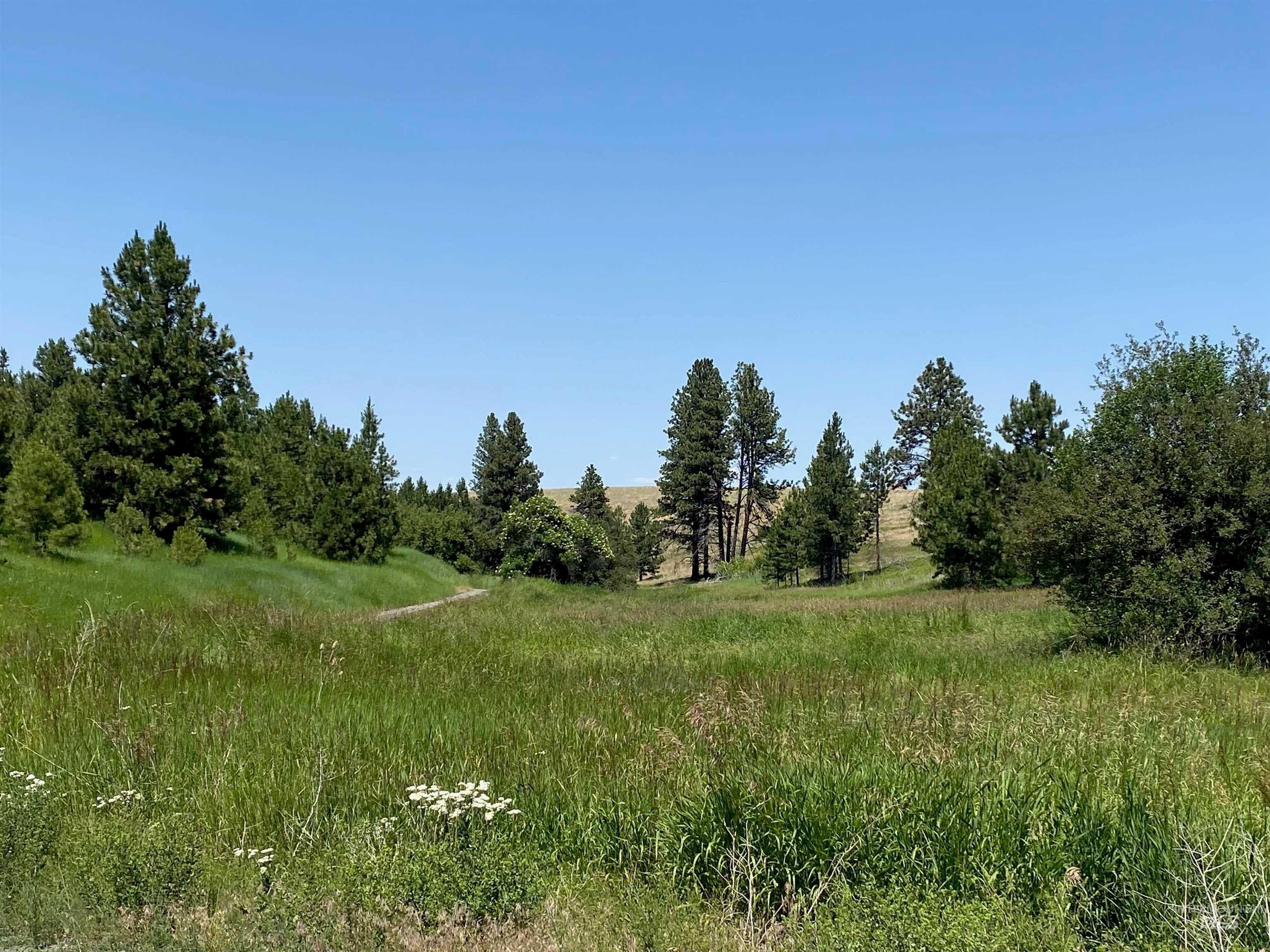 NNA Cloverland Road, Asotin, WA 99402 — photo 5
