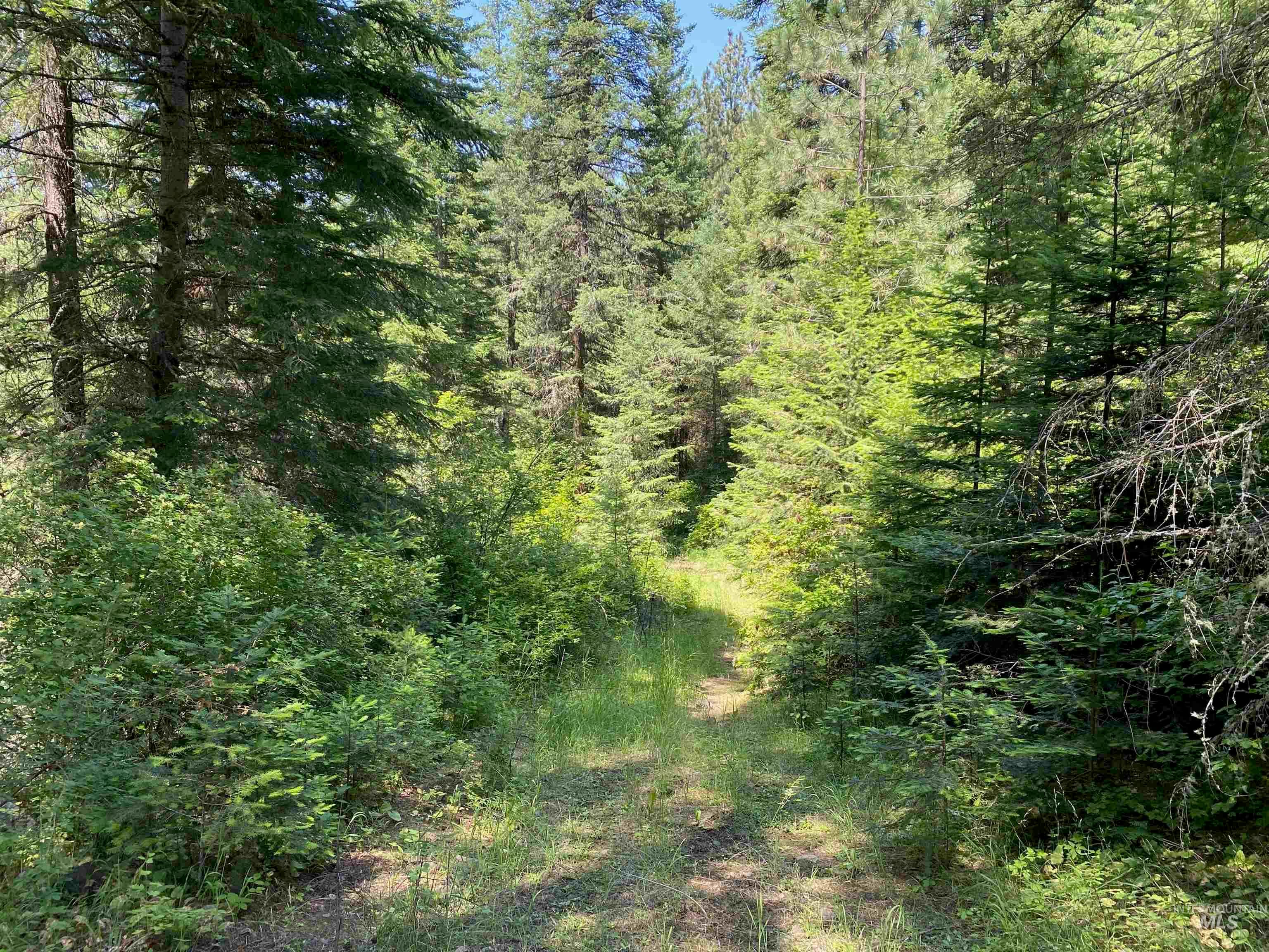 NNA Cloverland Road, Asotin, WA 99402 — photo 4