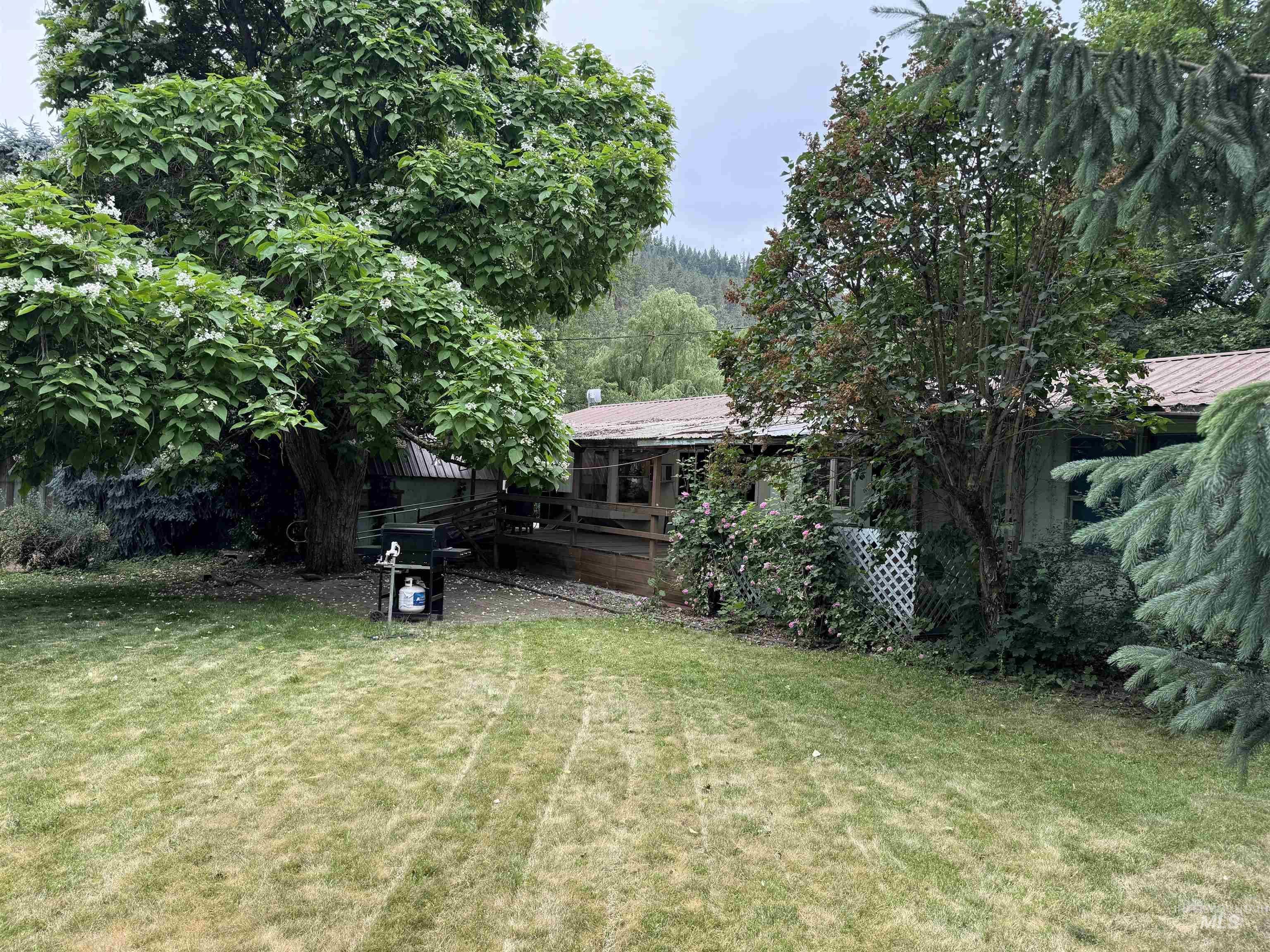 1590 Roby Road, Kamiah, ID 83536 — photo 3