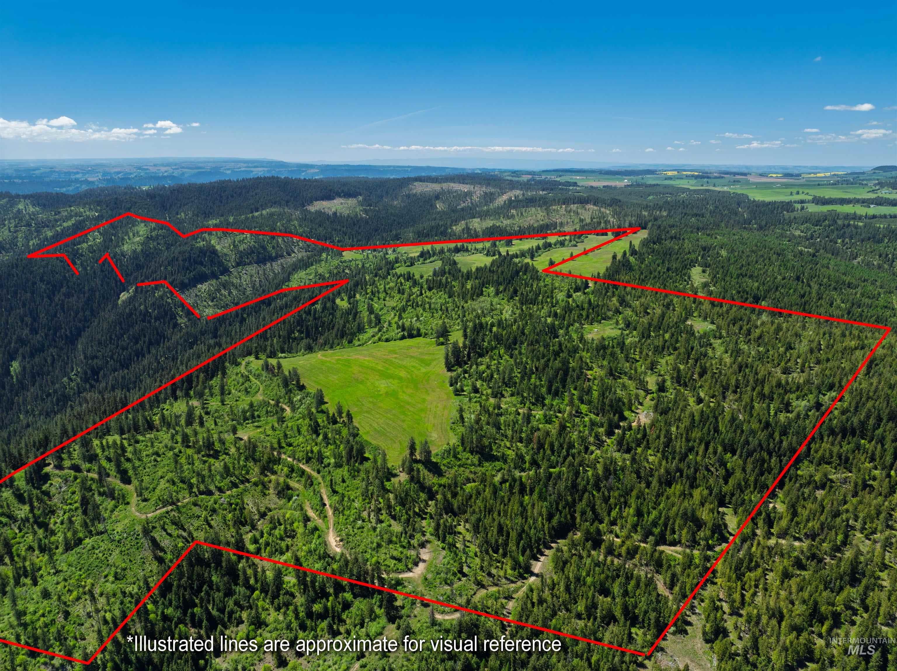 NKA 618acs Freeman Creek Rd, Lenore, ID 83541 — photo 3