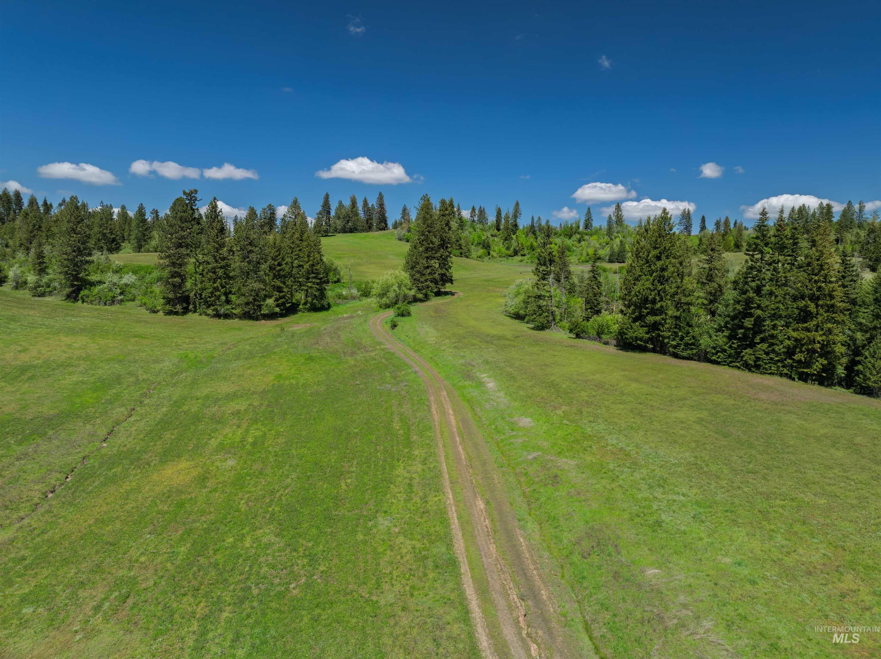 NKA 618acs Freeman Creek Rd, Lenore, ID 83541 — photo 5