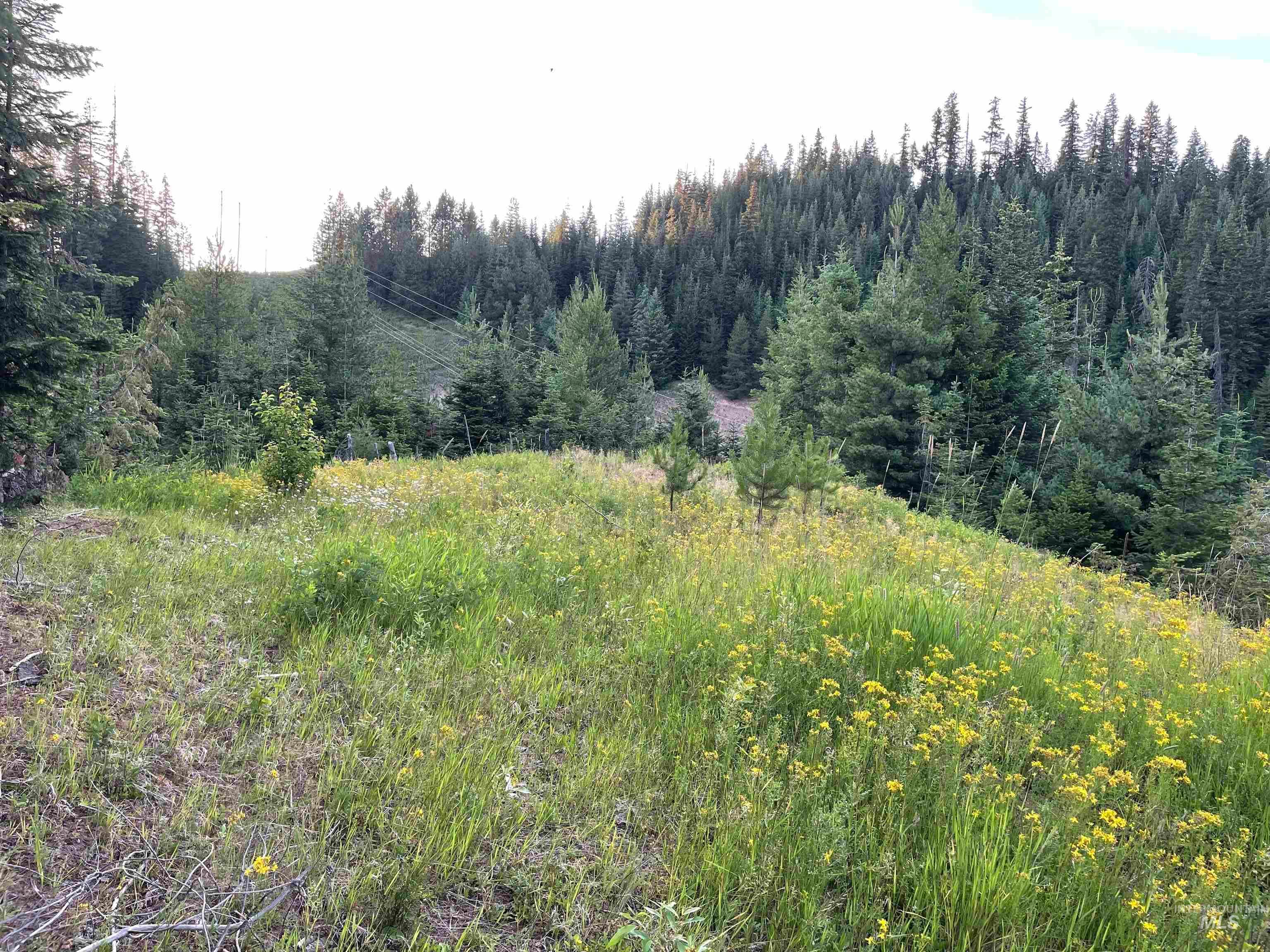 0 Highway 11, Pierce, ID 83546 — photo 4