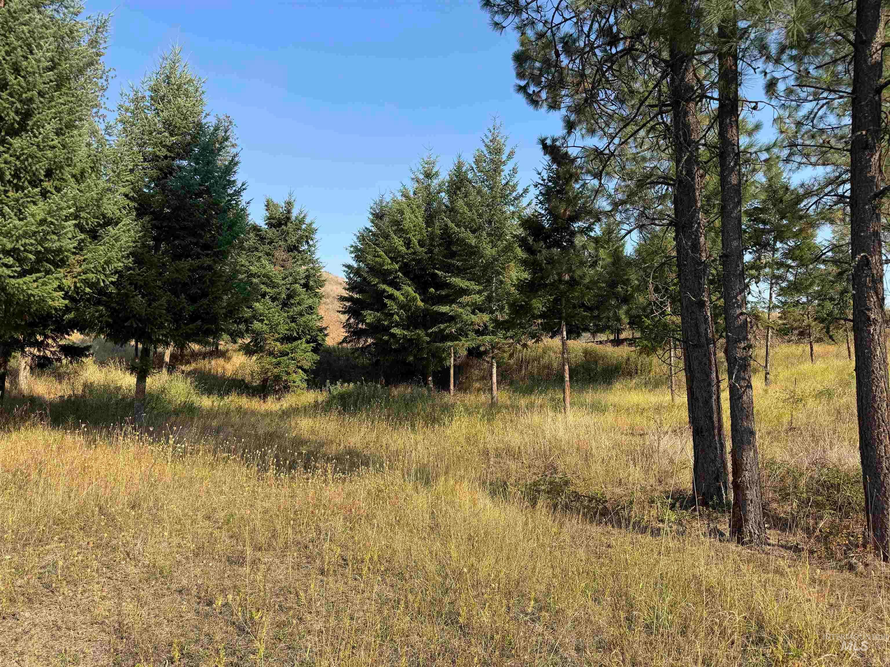 129 Meadow Lane, Kamiah, ID 83536 — photo 5