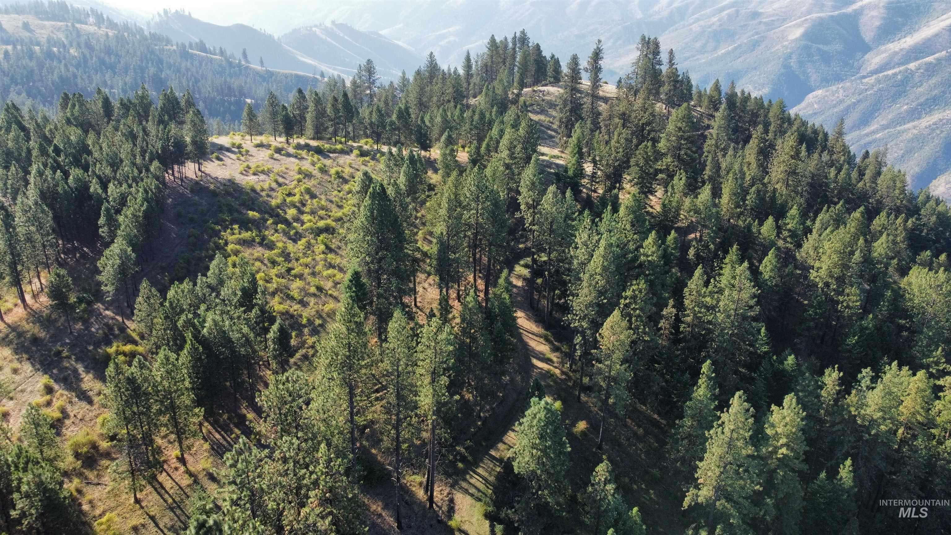 TBD Pardee Road, Kamiah, ID 83536 — photo 2