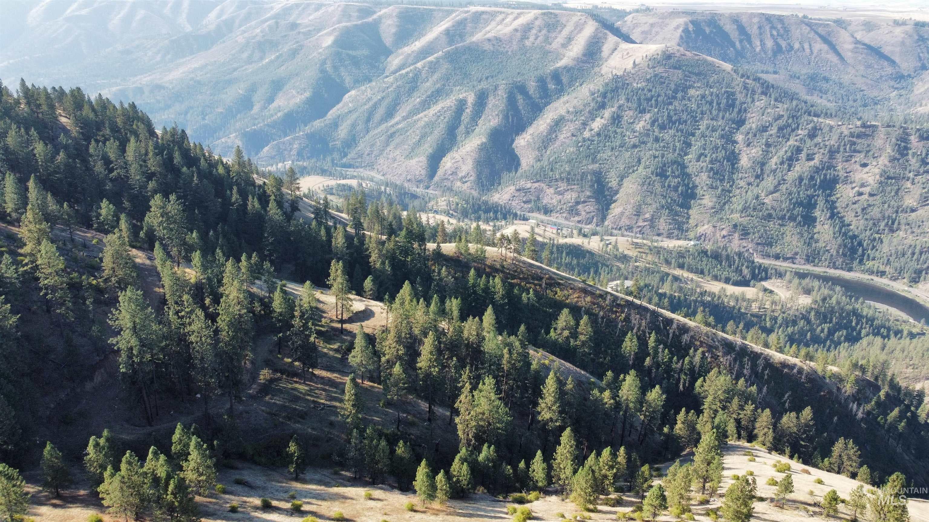 TBD Pardee Road, Kamiah, ID 83536 — photo 3