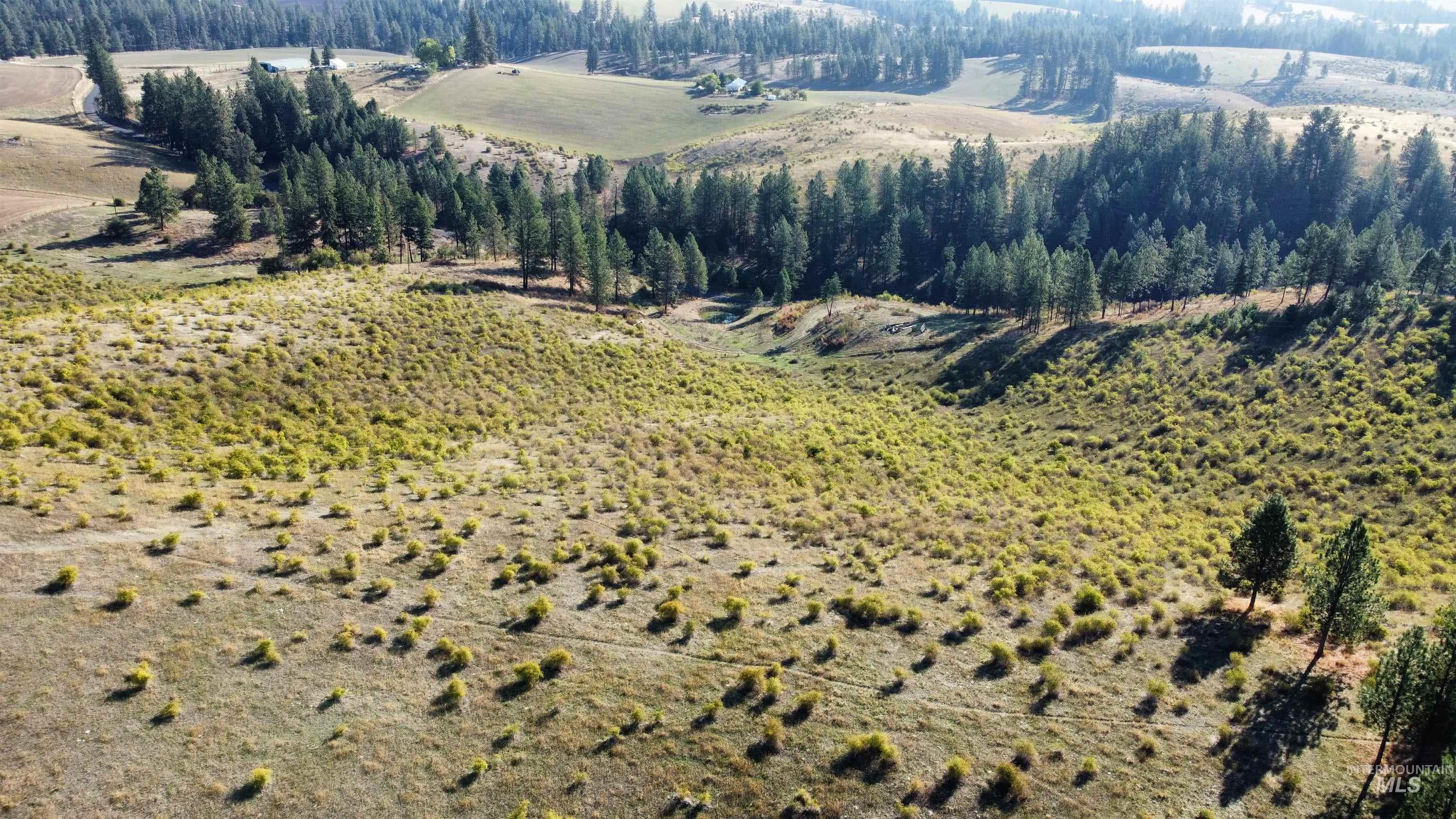 TBD Pardee Road, Kamiah, ID 83536 — photo 5