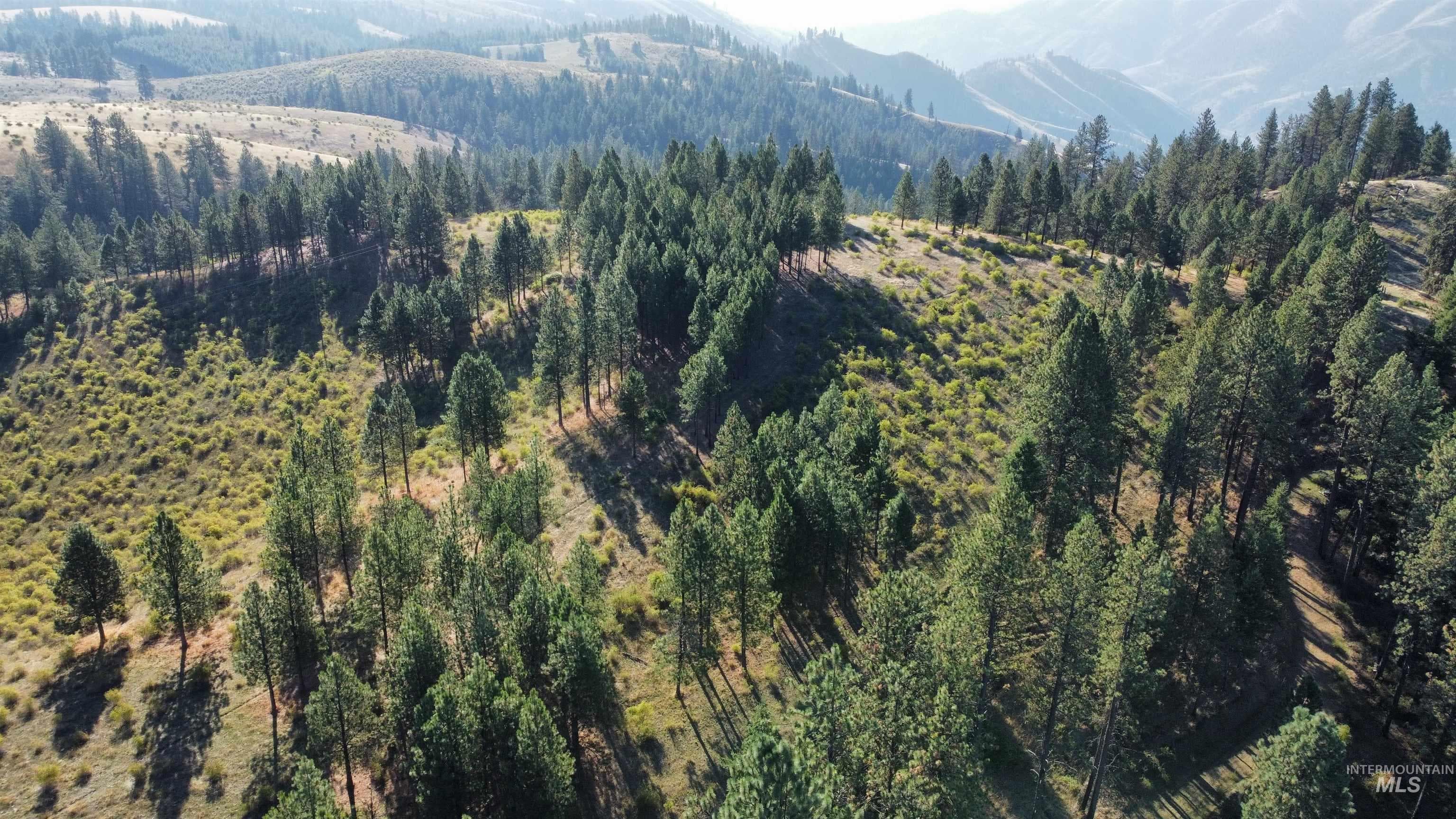 TBD Pardee Road, Kamiah, ID 83536 — photo 4