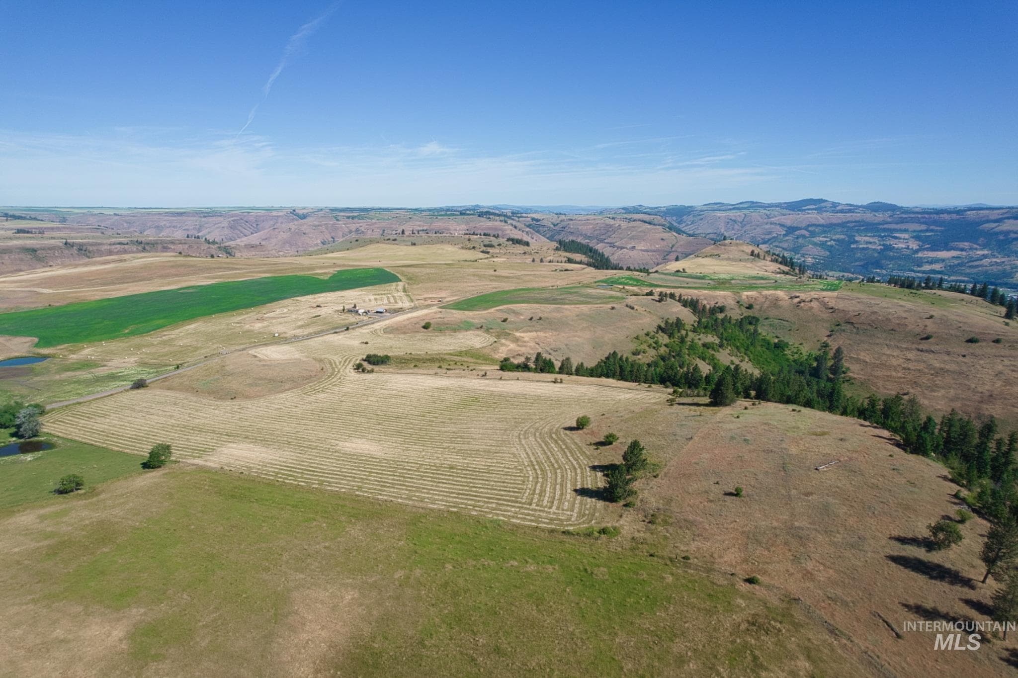 Doty Road, Kamiah, ID 83536 — photo 5