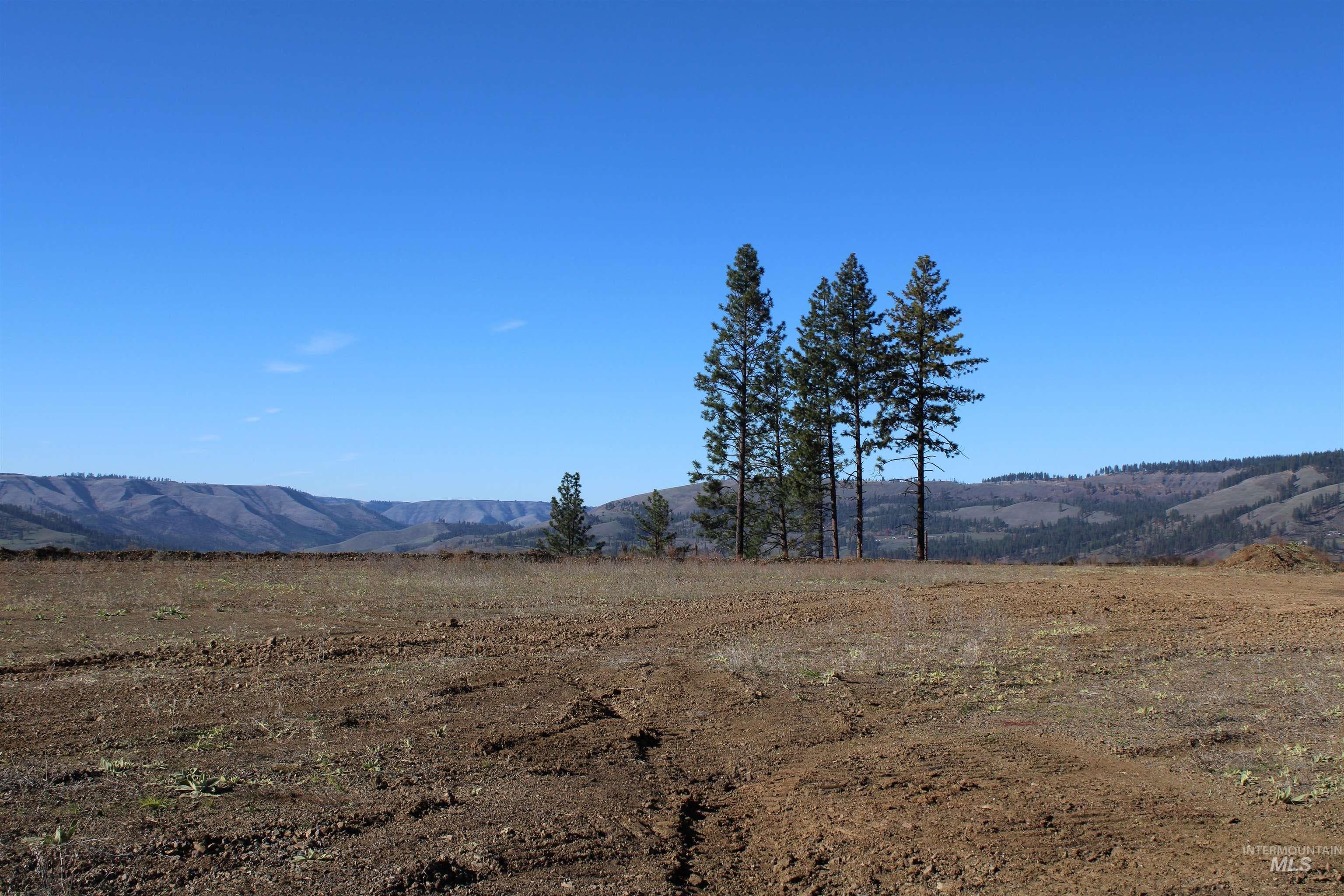 130 Meadow Lane, Kamiah, ID 83536 — photo 4
