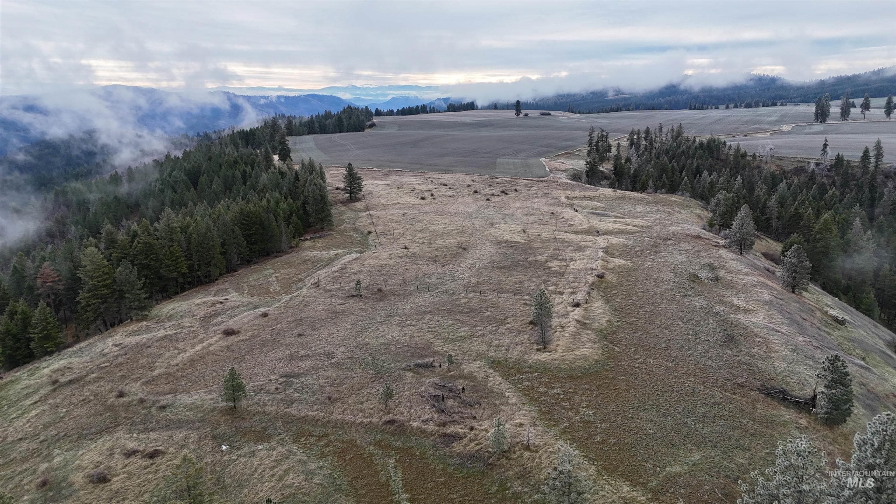 2439 Albers Rd, Nezperce, ID 83543 — photo 3