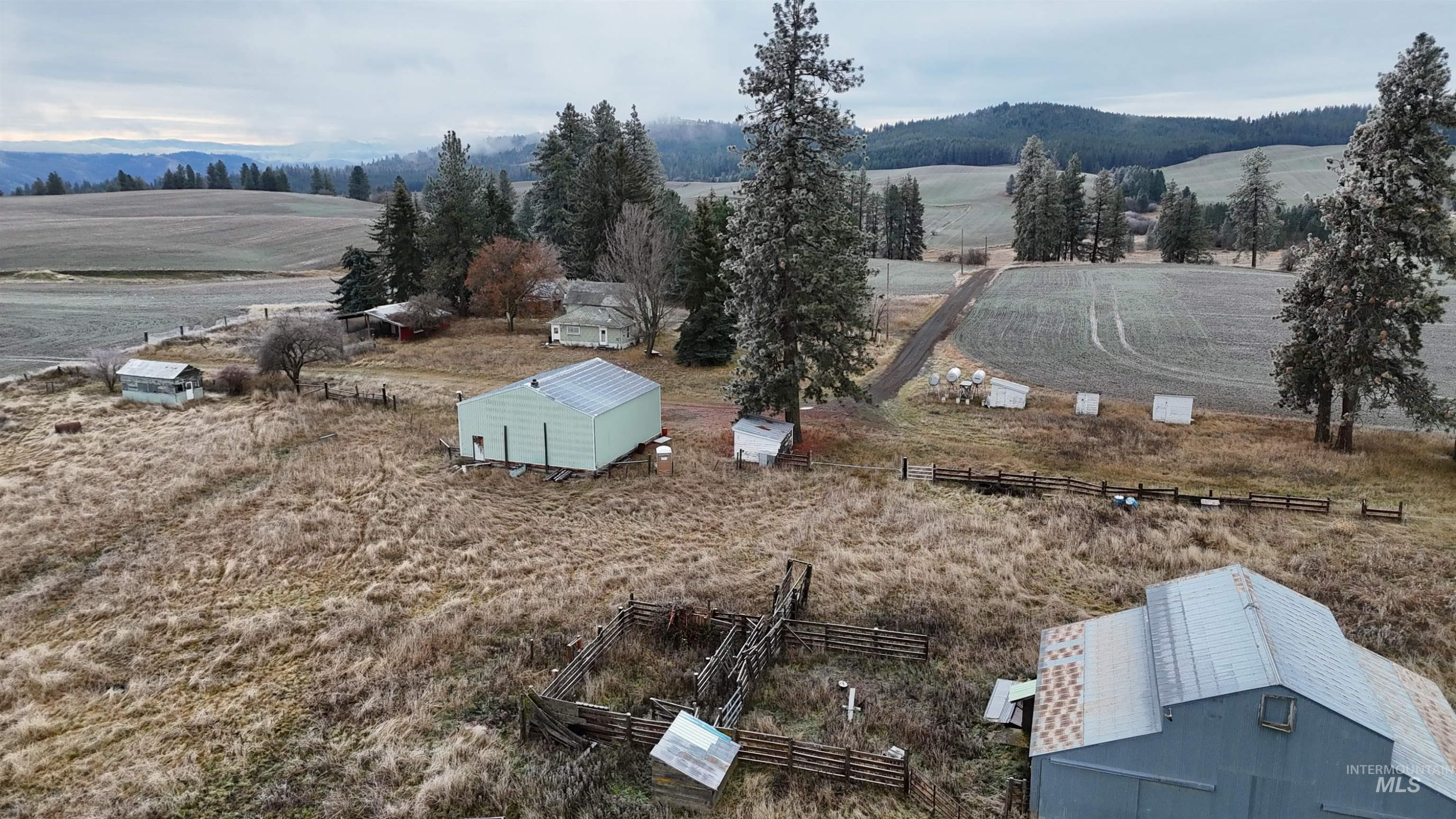2439 Albers Rd, Nezperce, ID 83543 — photo 5