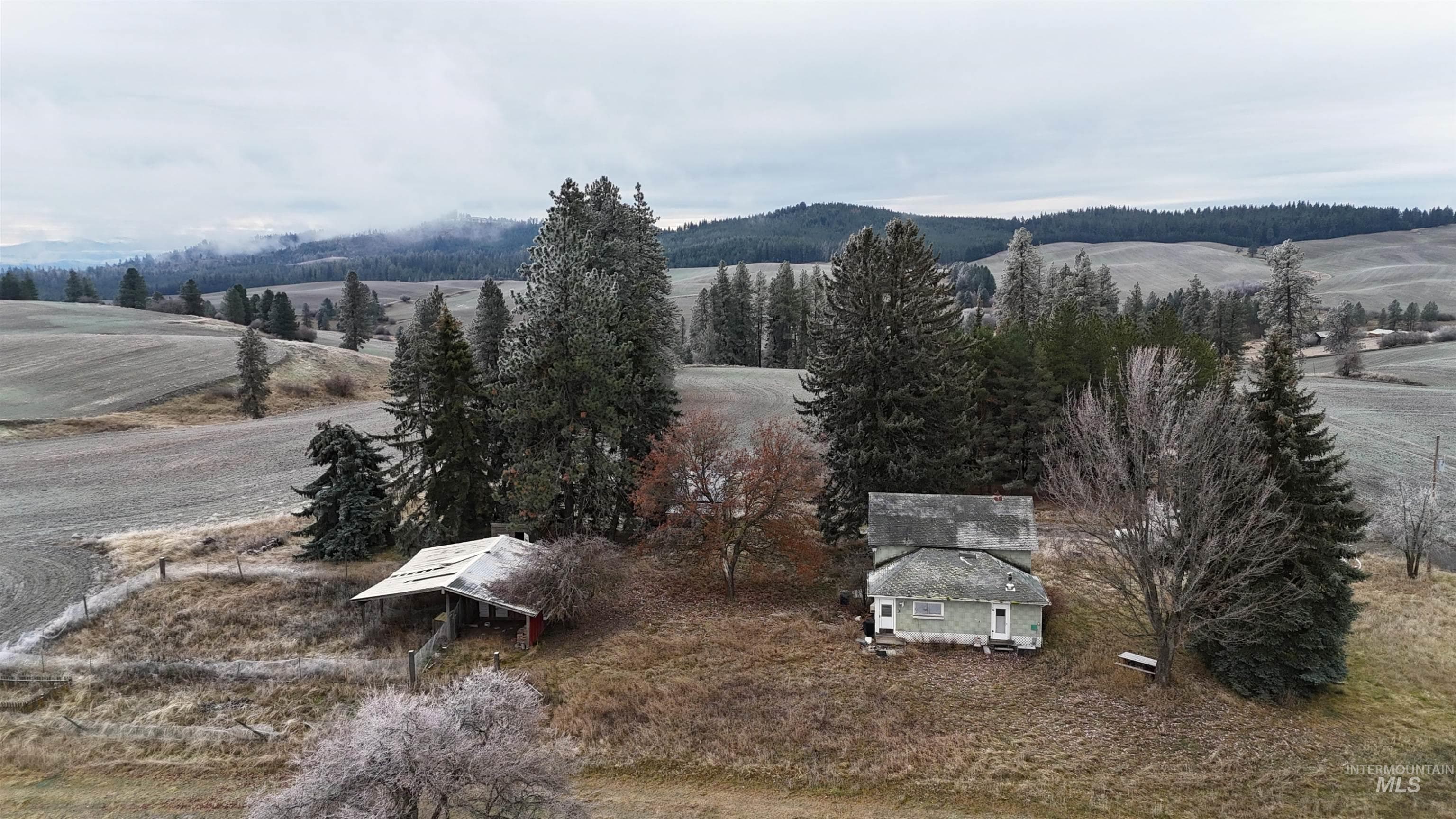 2439 Albers Rd, Nezperce, ID 83543 — photo 4