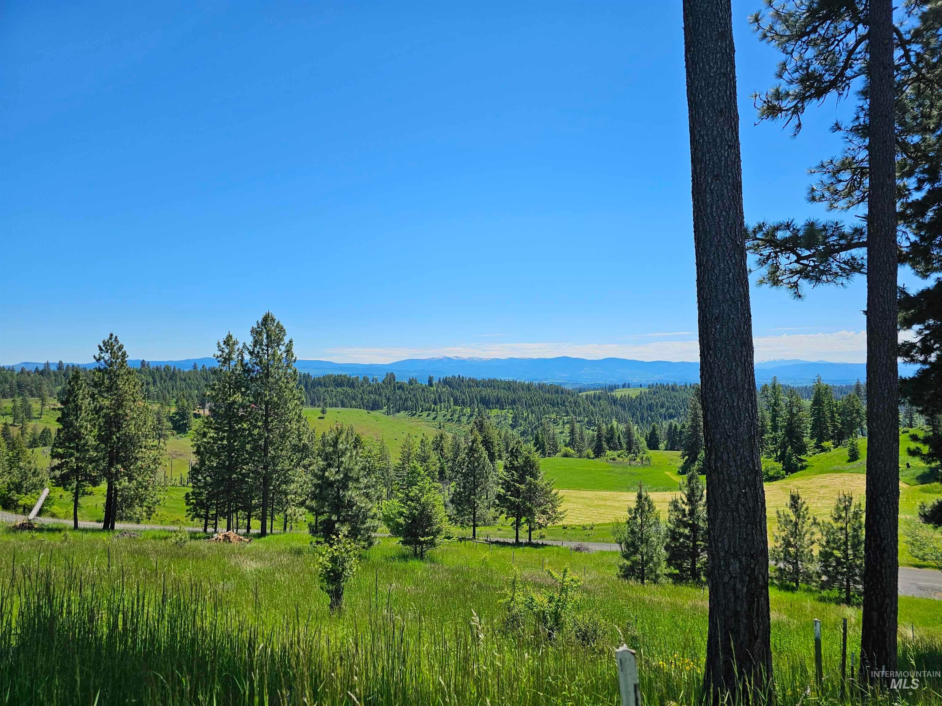 1151 Beaverslide Rd, Kamiah, ID 83536 — photo 5