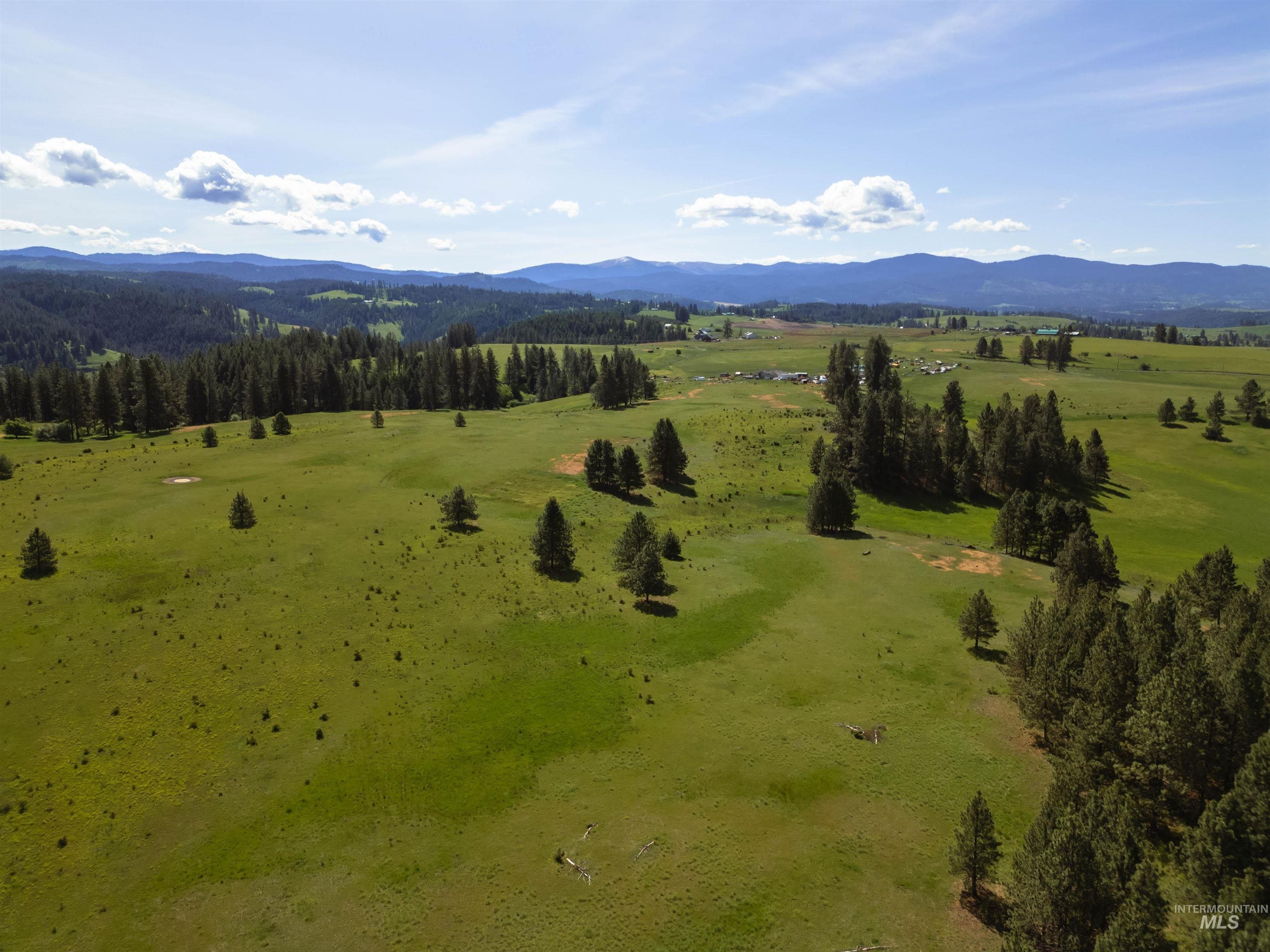 216 Ulmer Road, Kooskia, ID 83539 — photo 4