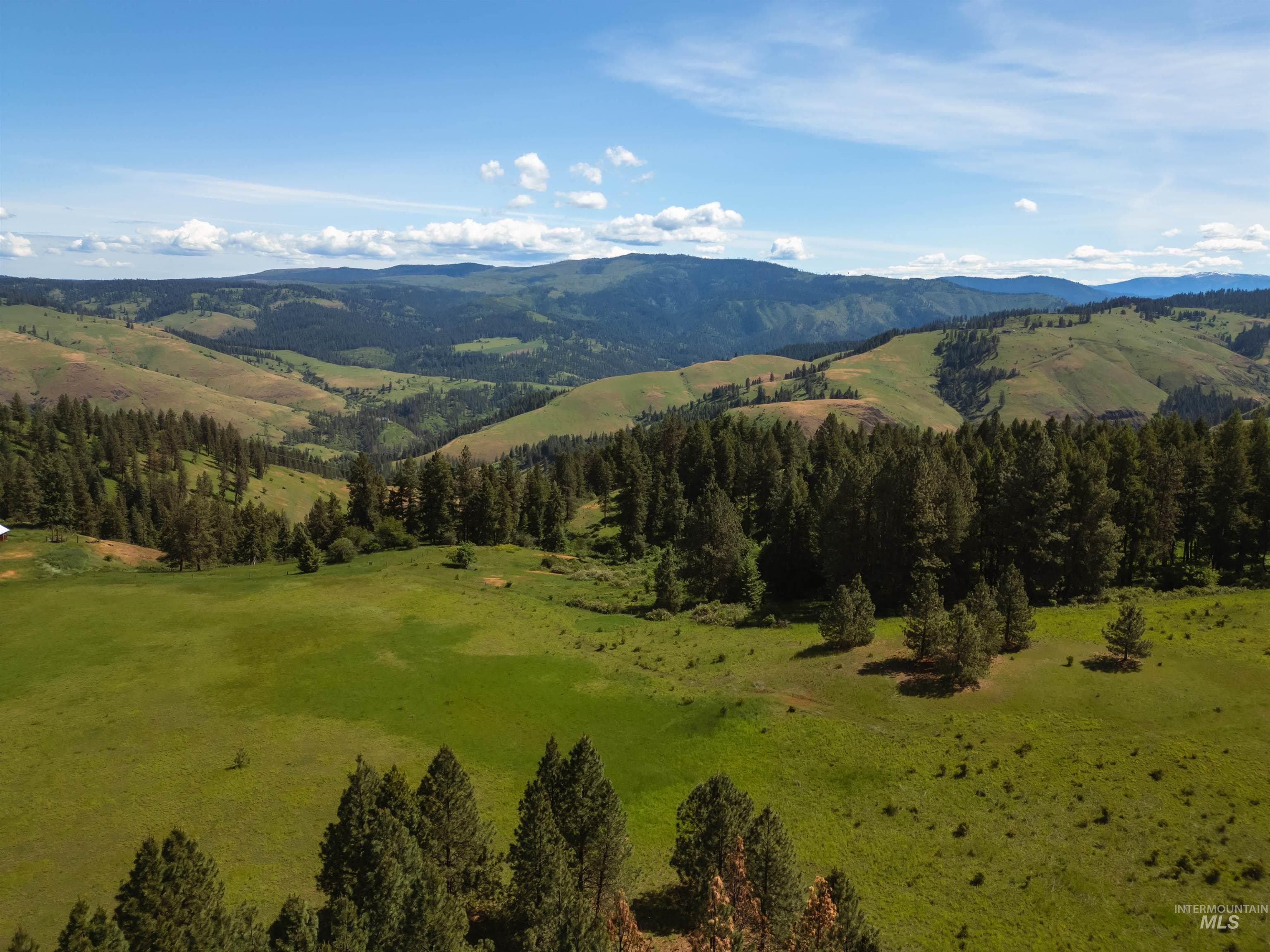 216 Ulmer Road, Kooskia, ID 83539 — photo 3