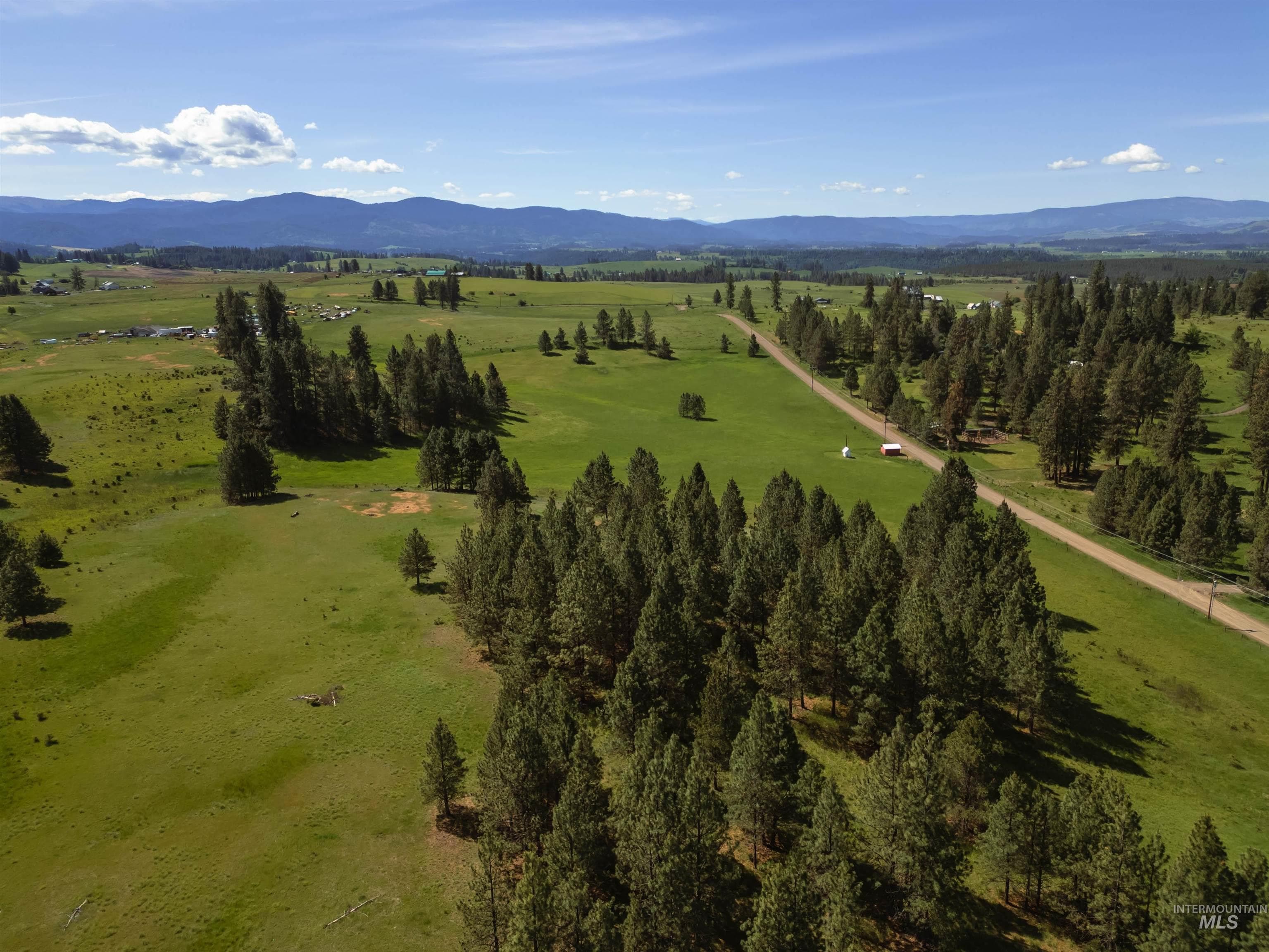 216 Ulmer Road, Kooskia, ID 83539 — photo 5