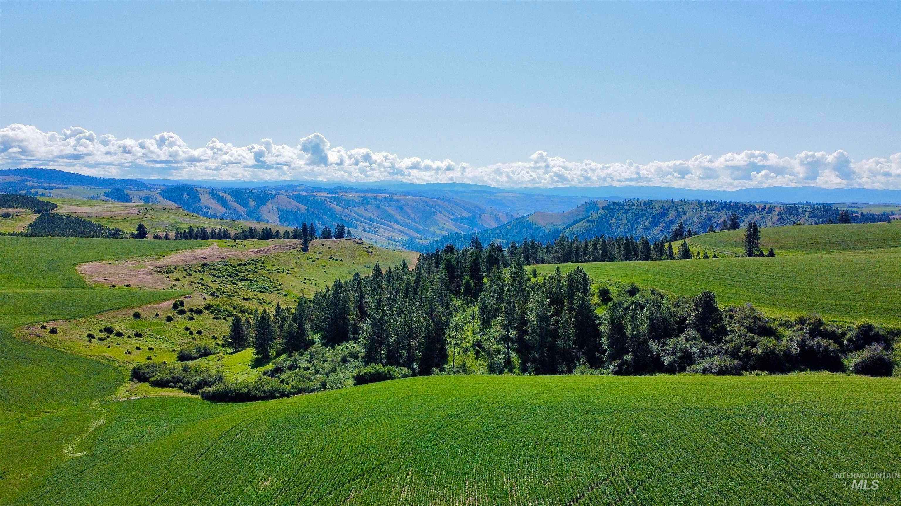 TBD Basket Rd, Nezperce, ID 83543 — photo 2