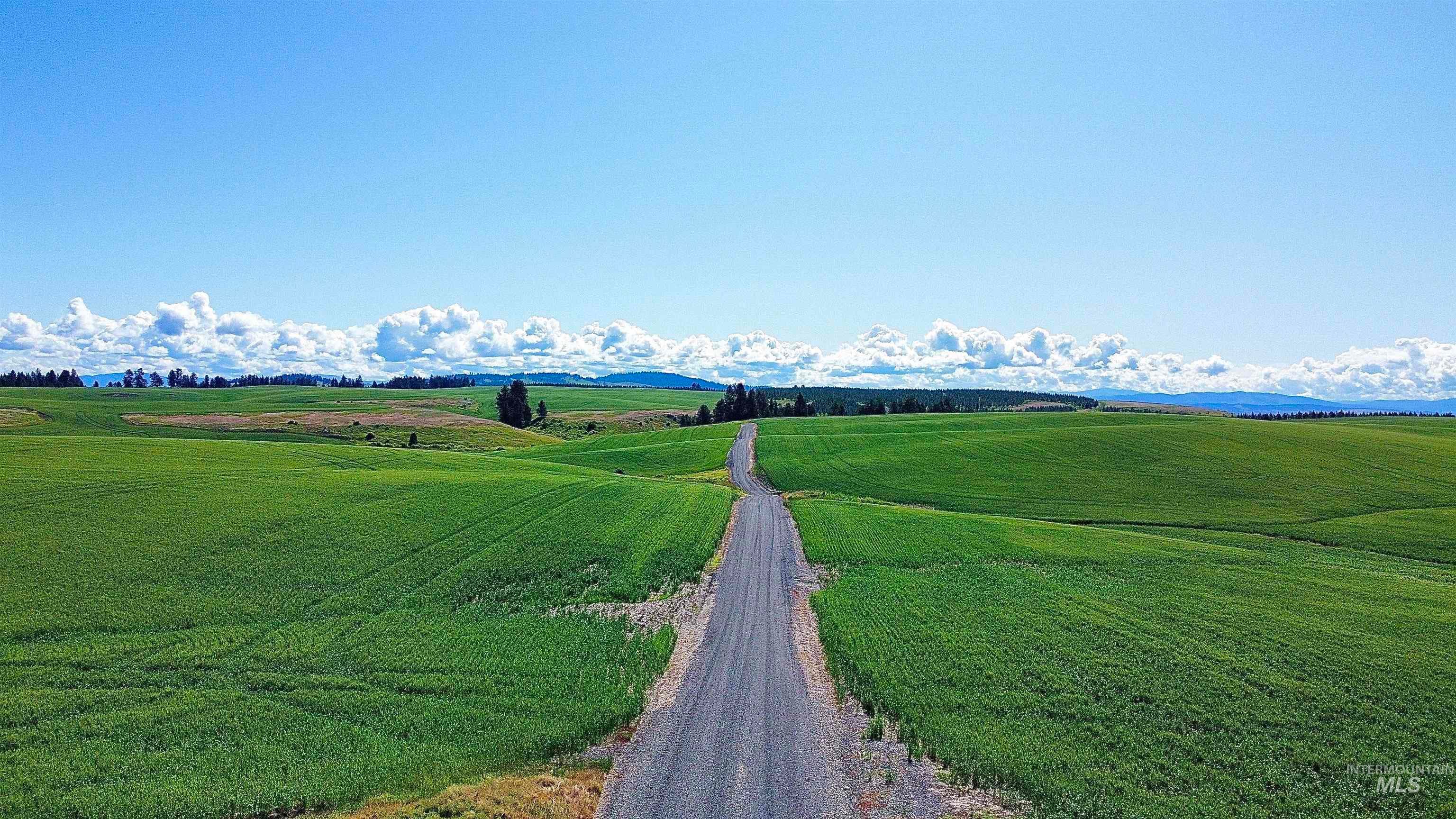TBD Basket Rd, Nezperce, ID 83543 — photo 3
