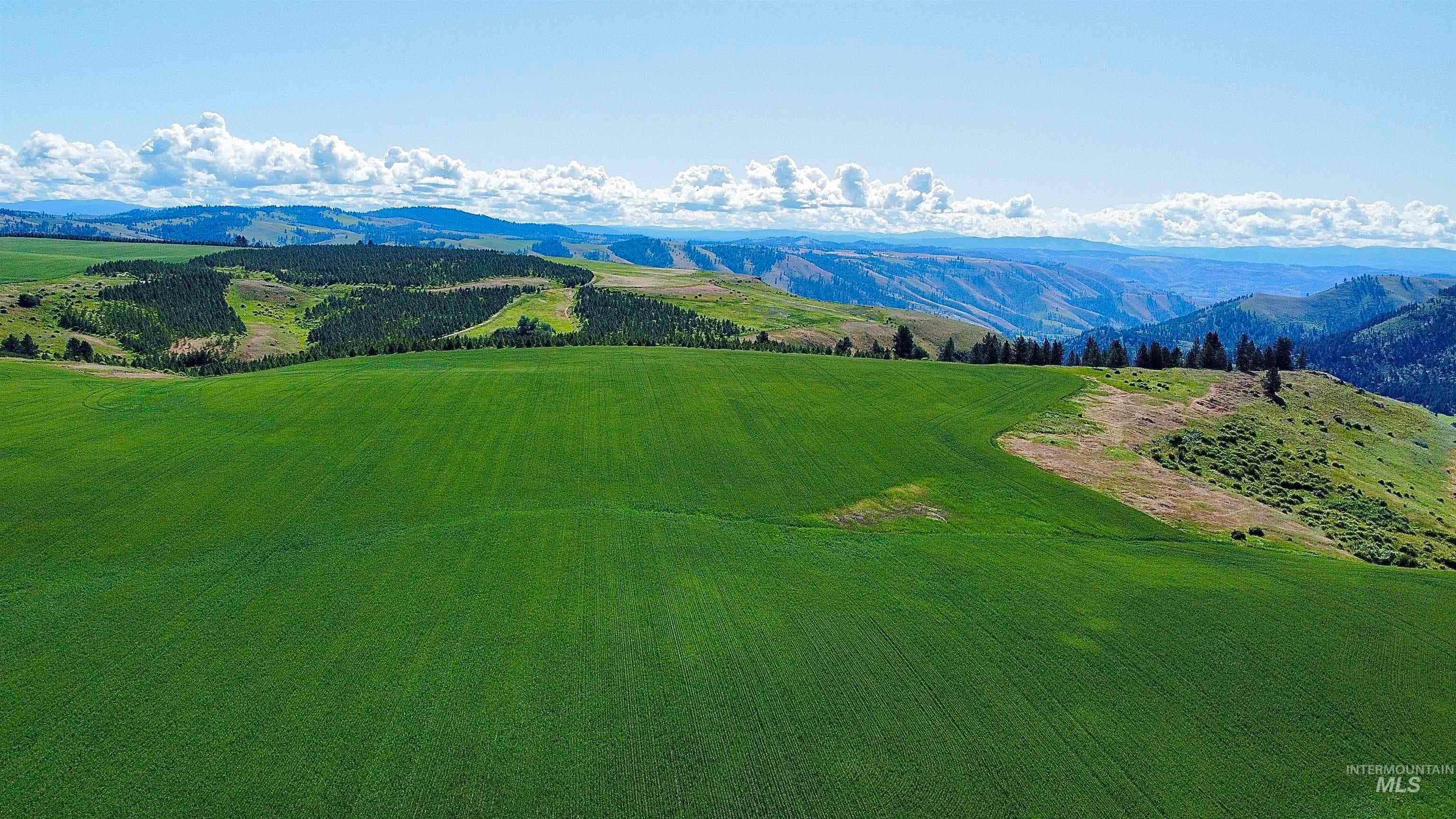 TBD Basket Rd, Nezperce, ID 83543 — photo 5