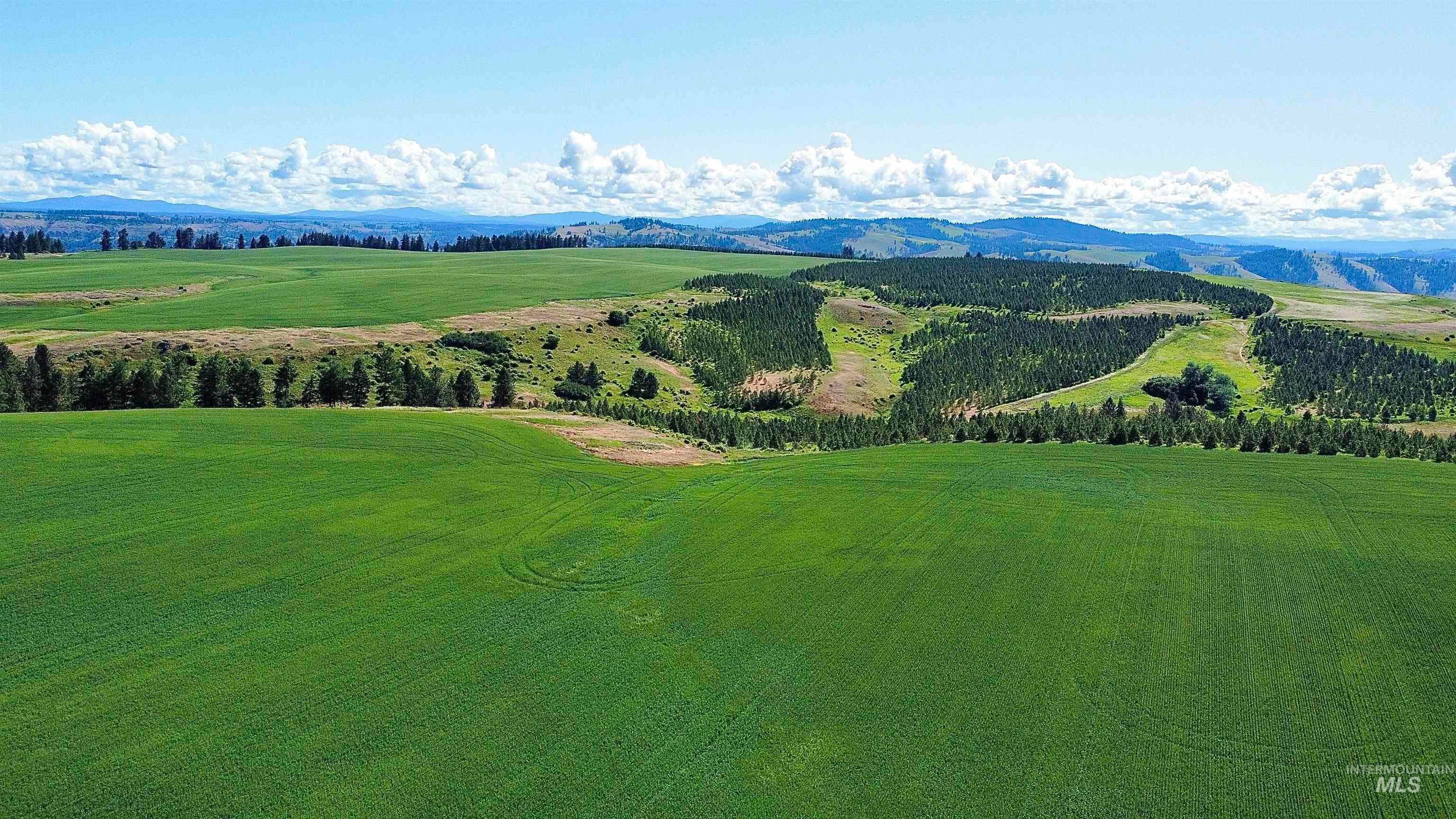 TBD Basket Rd, Nezperce, ID 83543 — photo 4