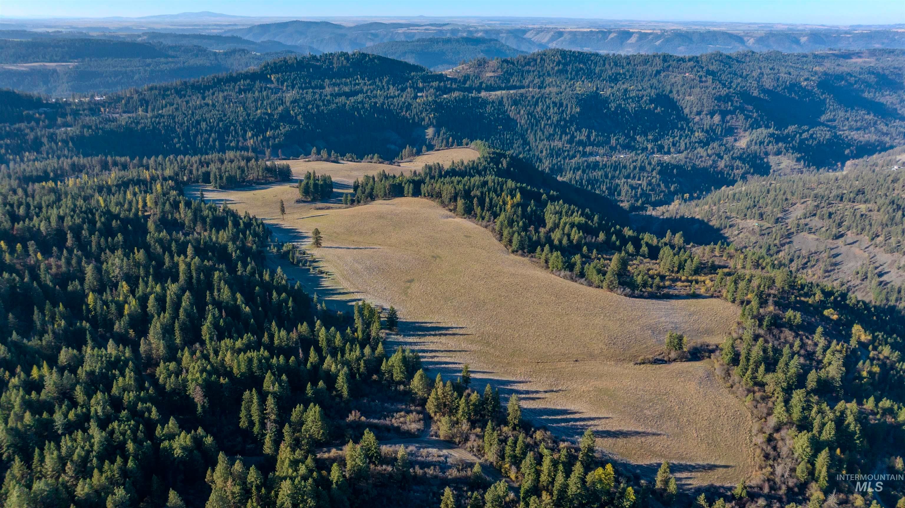 NKA 320acs Summer Rd, Orofino, ID 83544 — photo 2