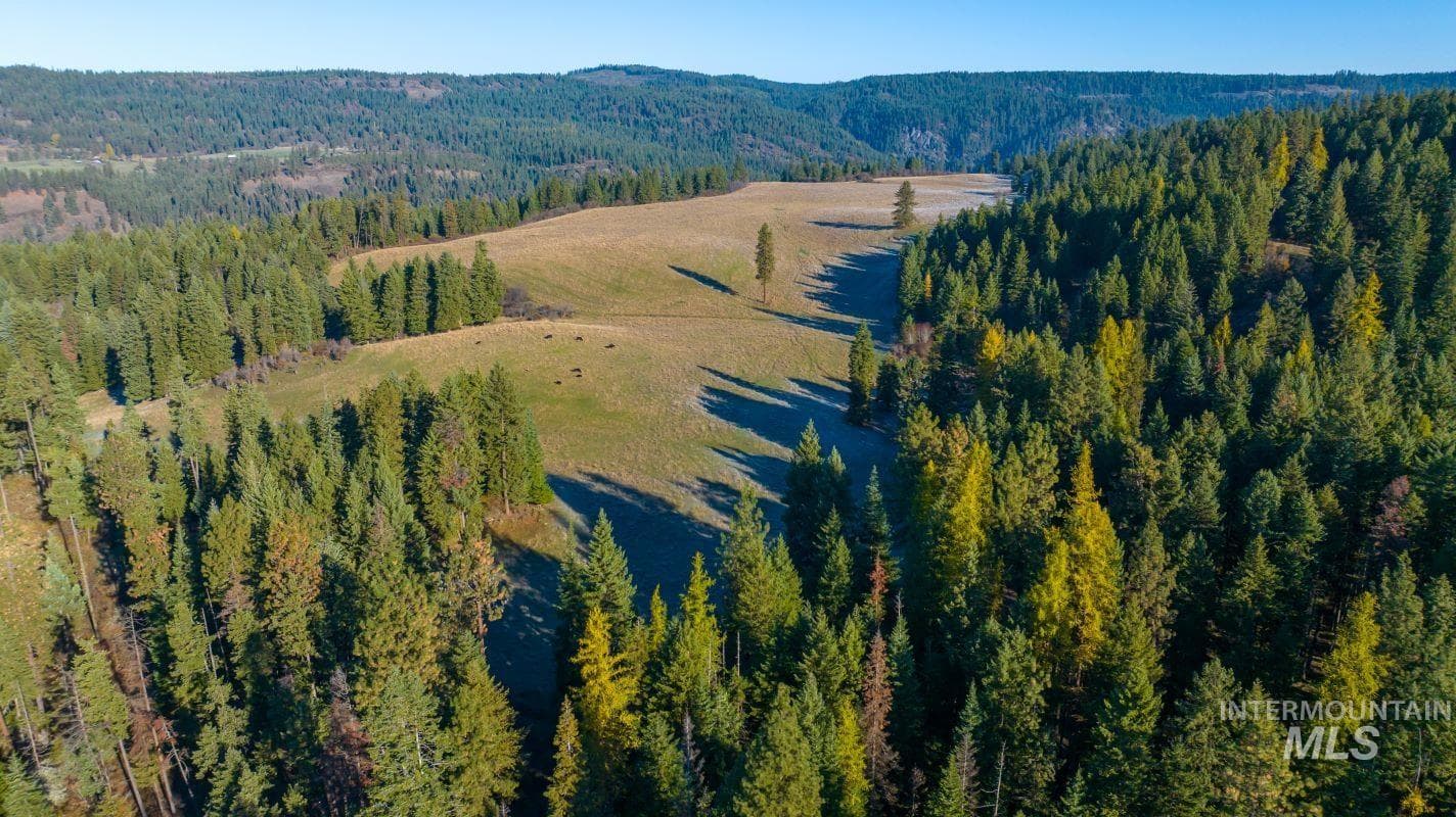 NKA 320acs Summer Rd, Orofino, ID 83544 — photo 3