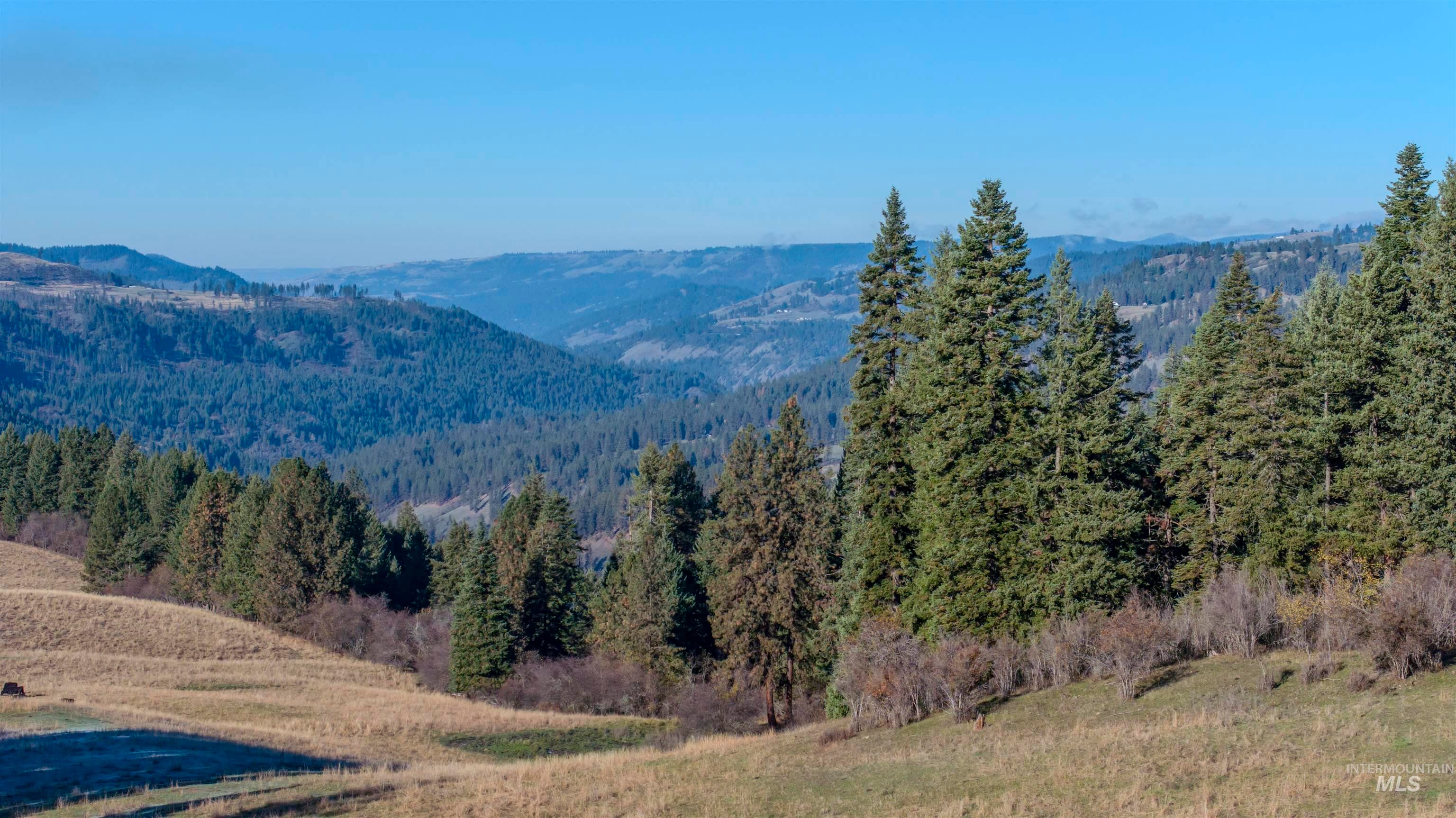 NKA 320acs Summer Rd, Orofino, ID 83544 — photo 5