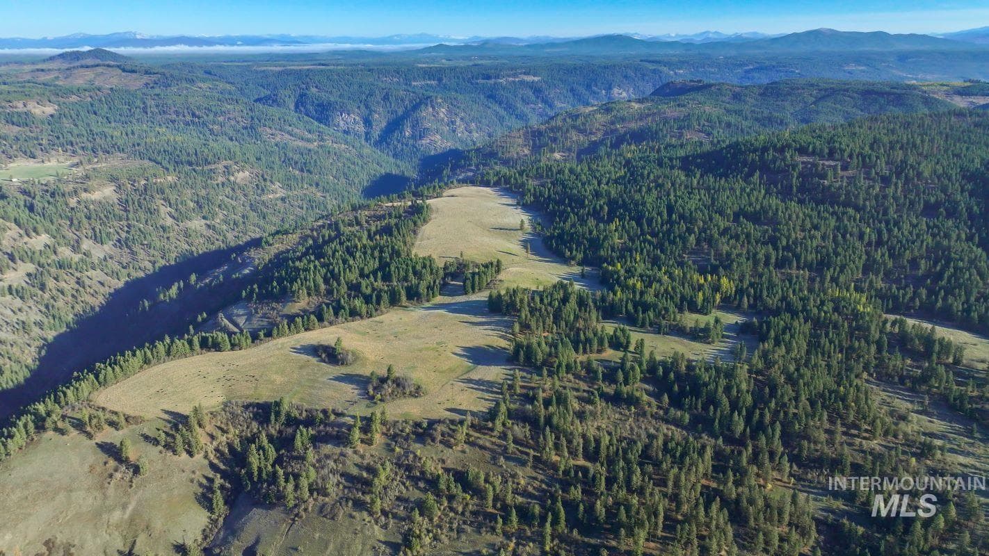 NKA 320acs Summer Rd, Orofino, ID 83544 — photo 4