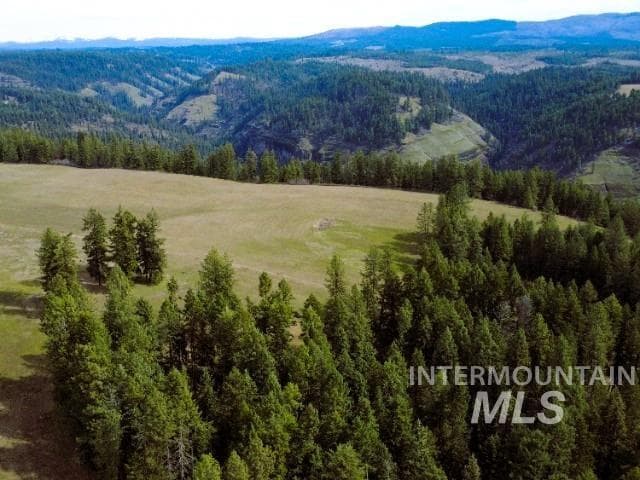 1188 Kidder Ridge, Kamiah, ID 83536 — photo 2