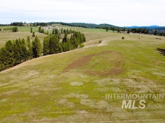 1188 Kidder Ridge, Kamiah, ID 83536 — photo 3
