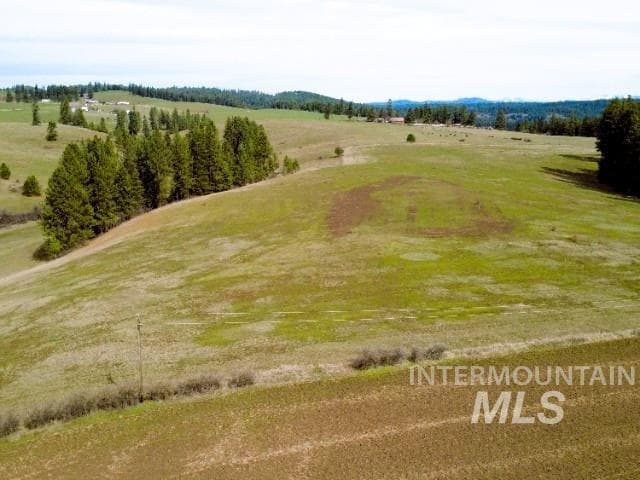 1188 Kidder Ridge, Kamiah, ID 83536 — photo 5