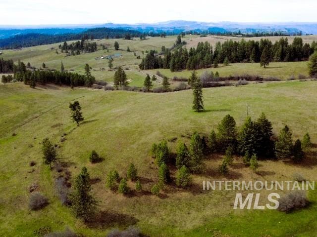 1188 Kidder Ridge, Kamiah, ID 83536 — photo 4