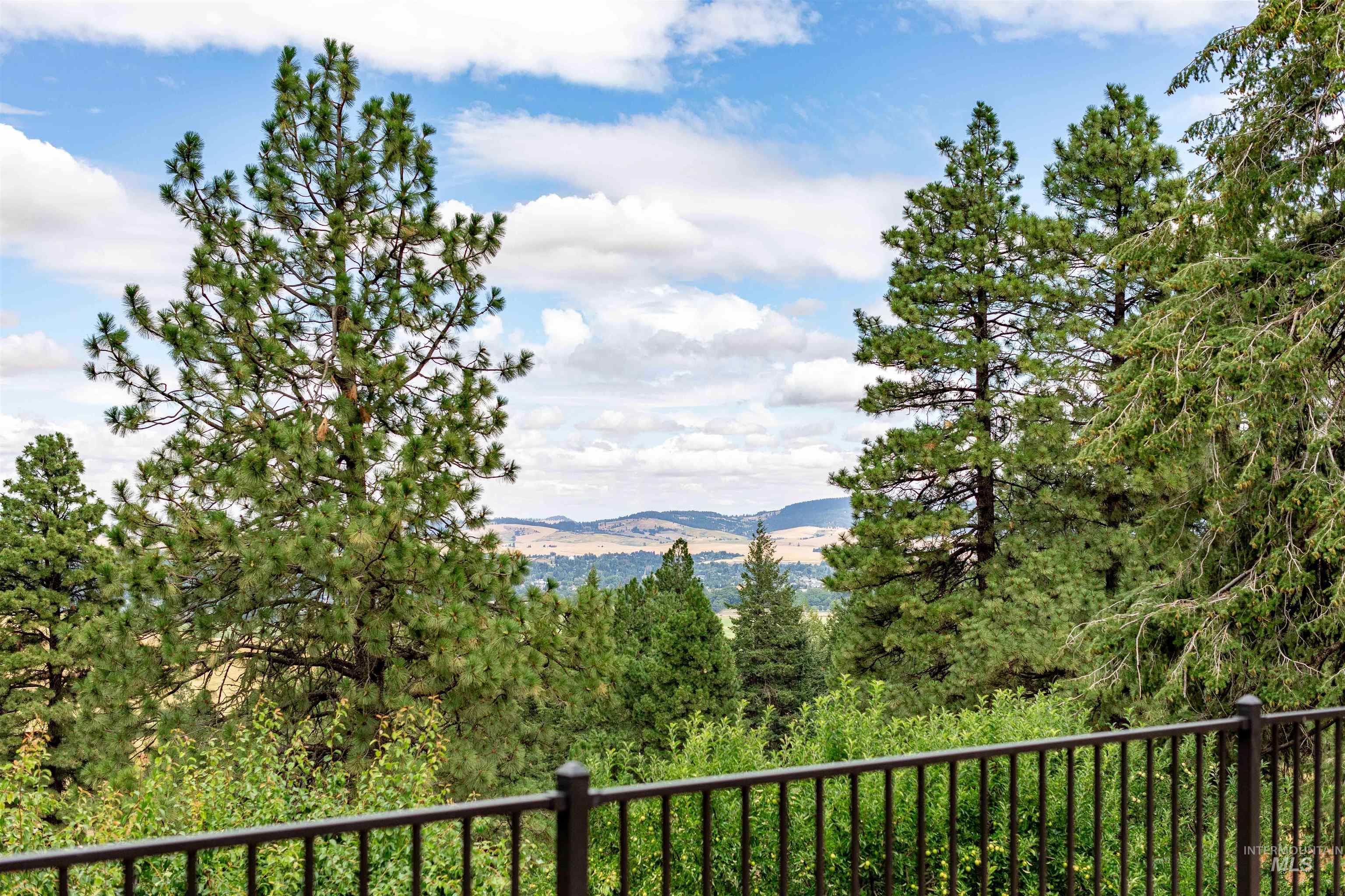 1050 Paradise Ridge Rd, Moscow, ID 83843 — photo 4
