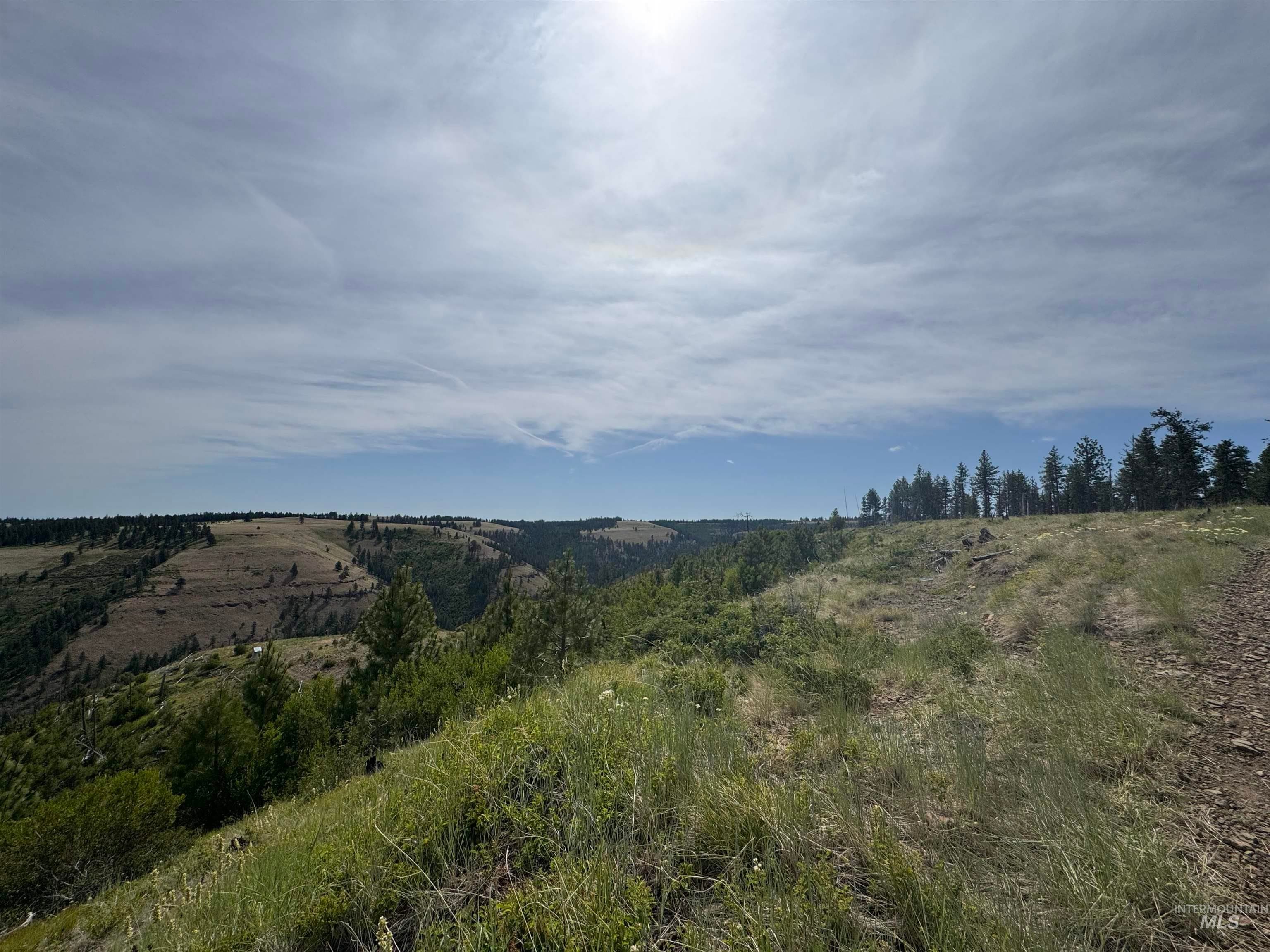 100 Rock Hill Rd, Pomeroy, WA 99347 — photo 3