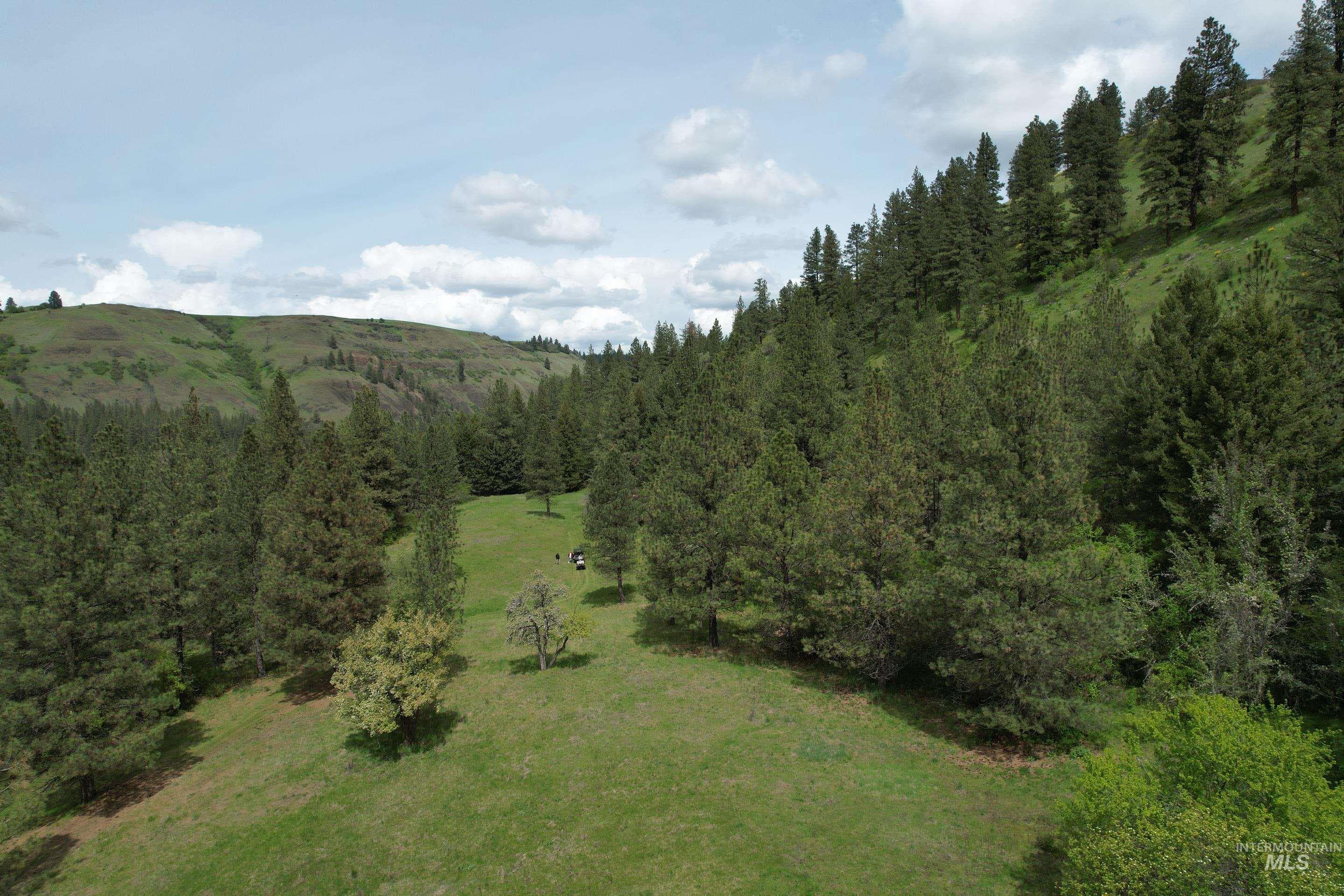 1017 Tiger Drive, Kendrick, ID 83537 — photo 3
