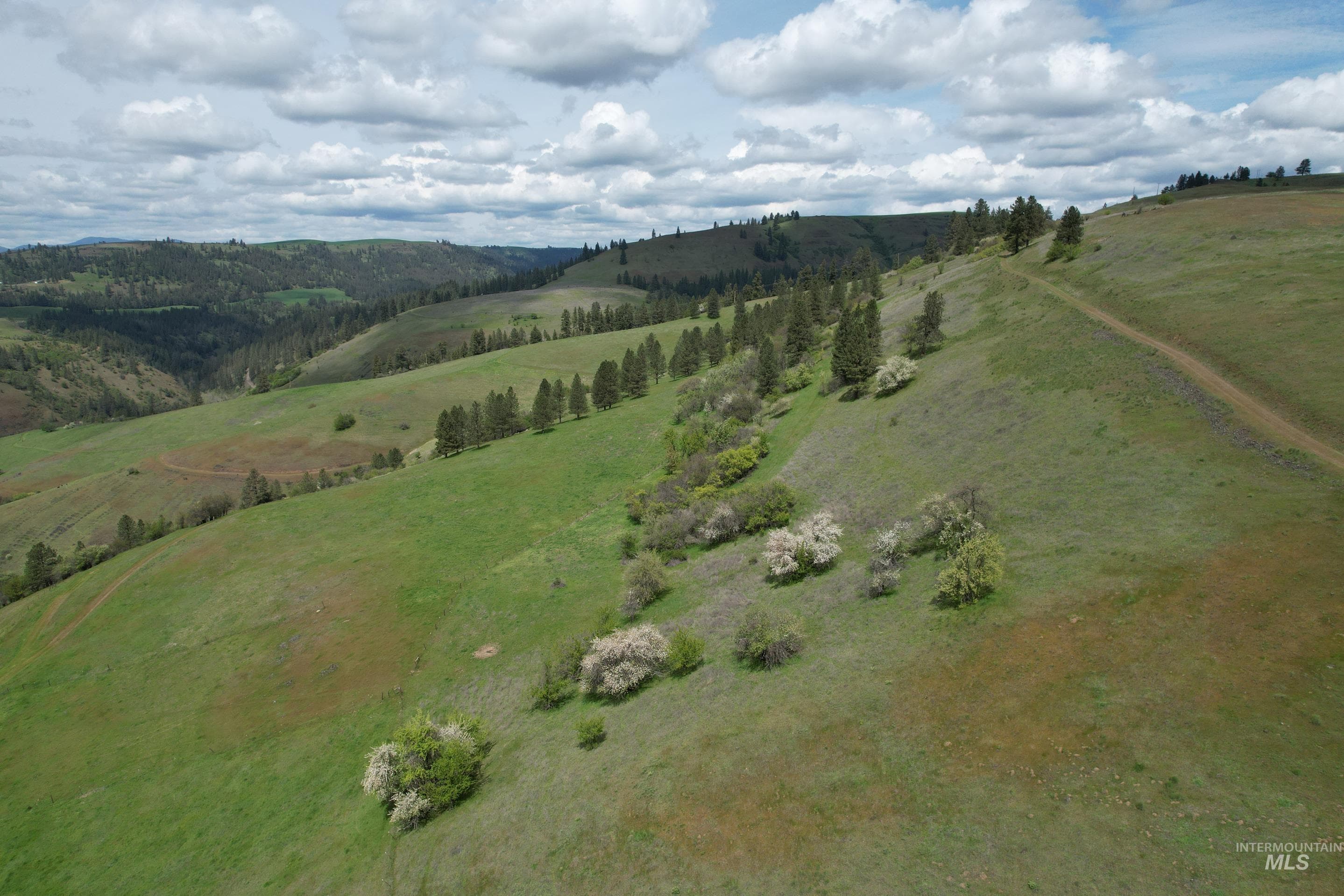 1017 Tiger Drive, Kendrick, ID 83537 — photo 4