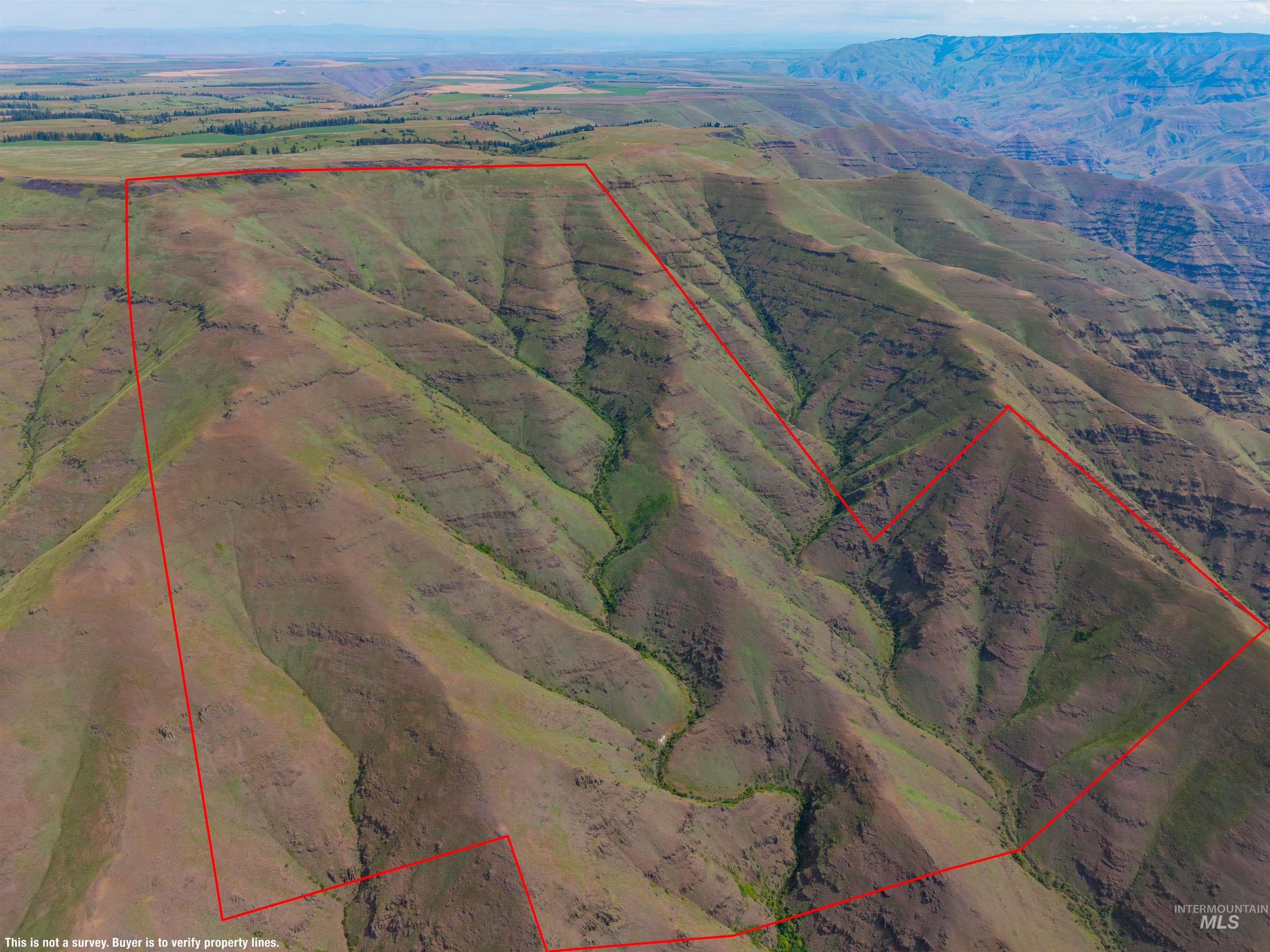 NKA Montgomery Ridge Road, Asotin, WA 99402 — photo 3