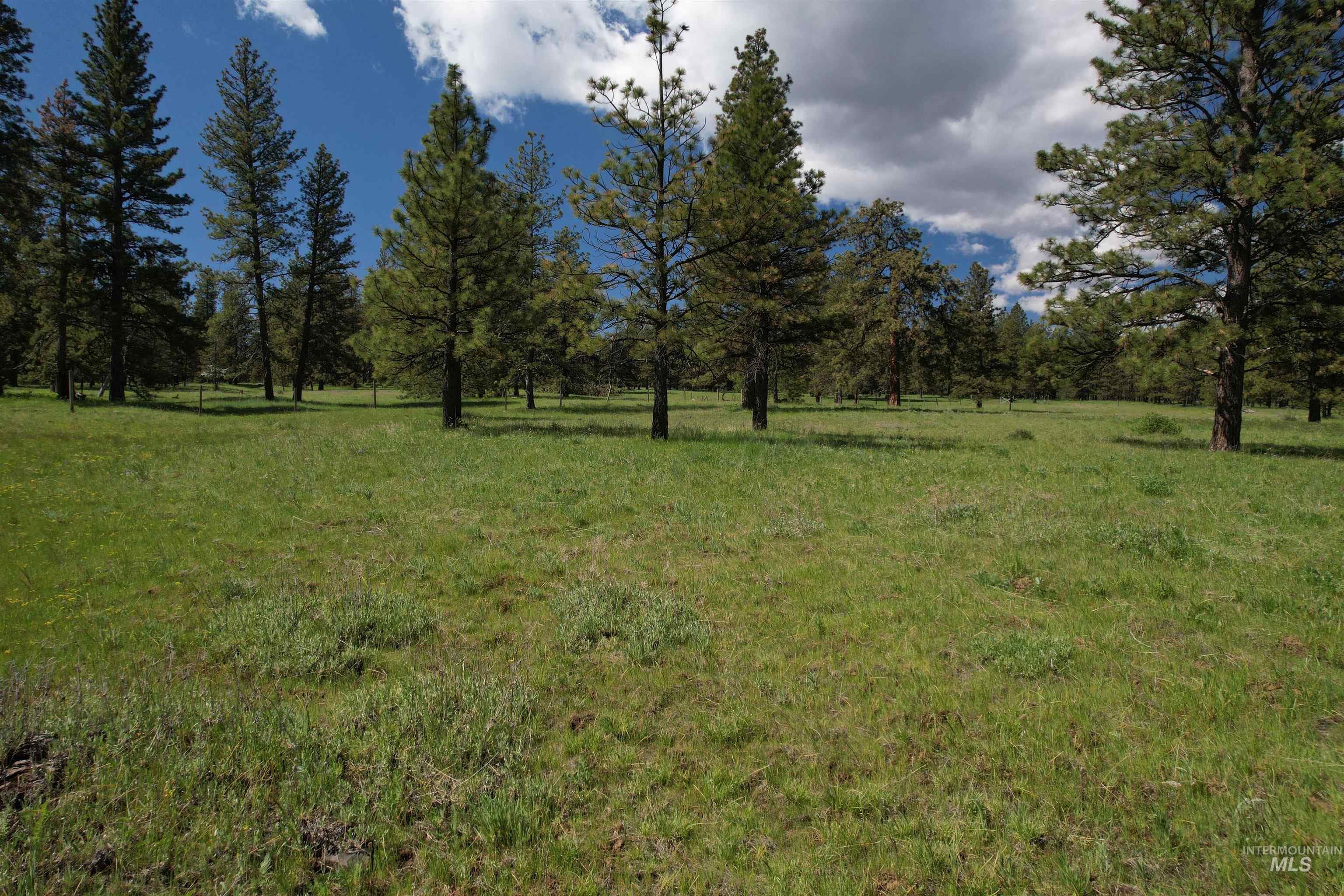 NKA Cloverland Road, Asotin, WA 99402 — photo 5