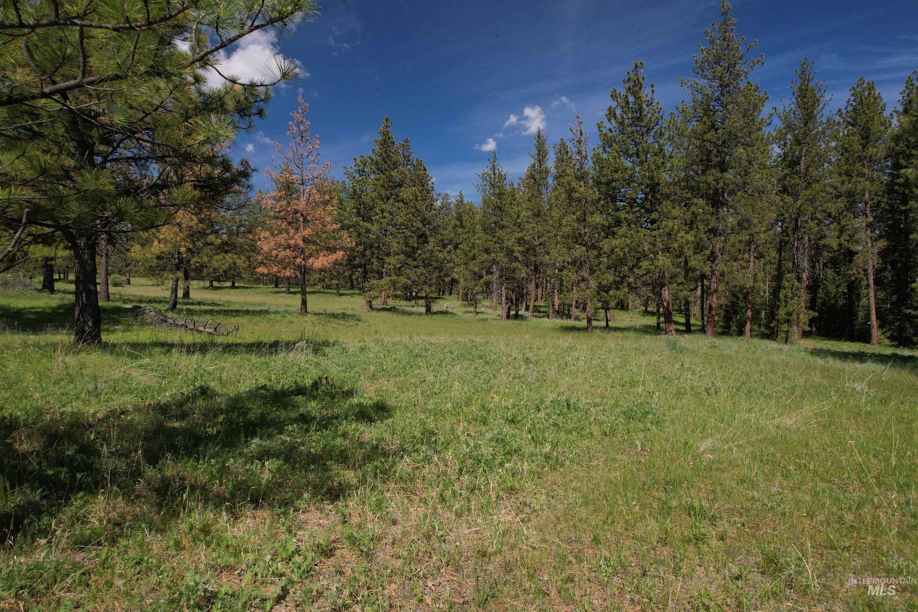 NKA Cloverland Road, Asotin, WA 99402 — photo 4