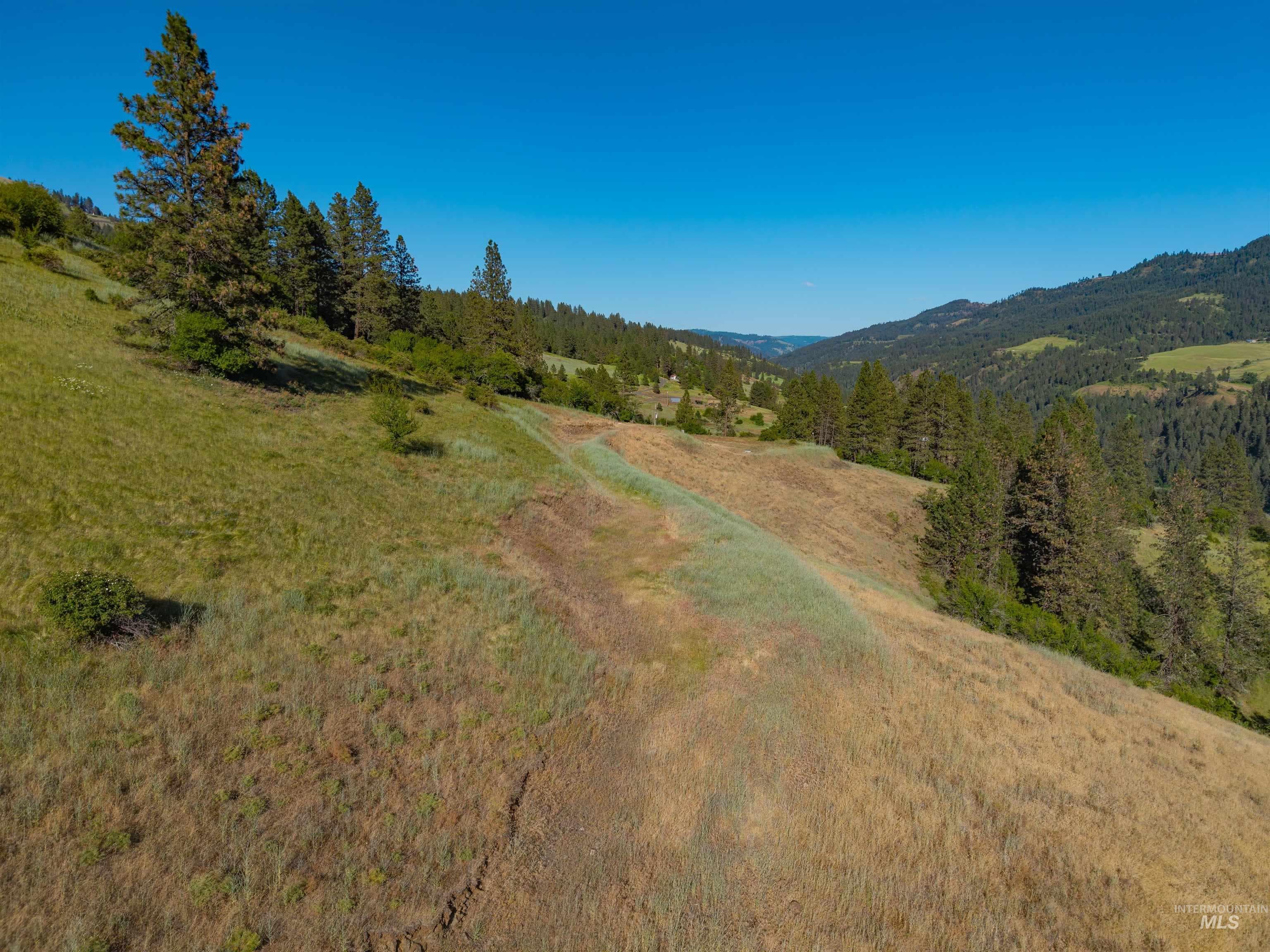 618 Old Peck Grade, Lenore, ID 83541 — photo 4