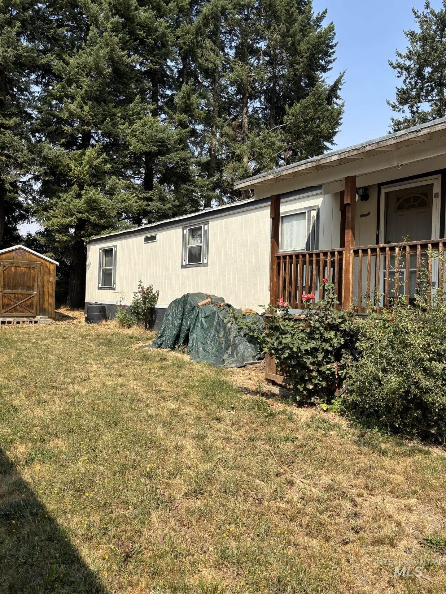 3175 Tomer Rd, Moscow, ID 83843 — photo 2