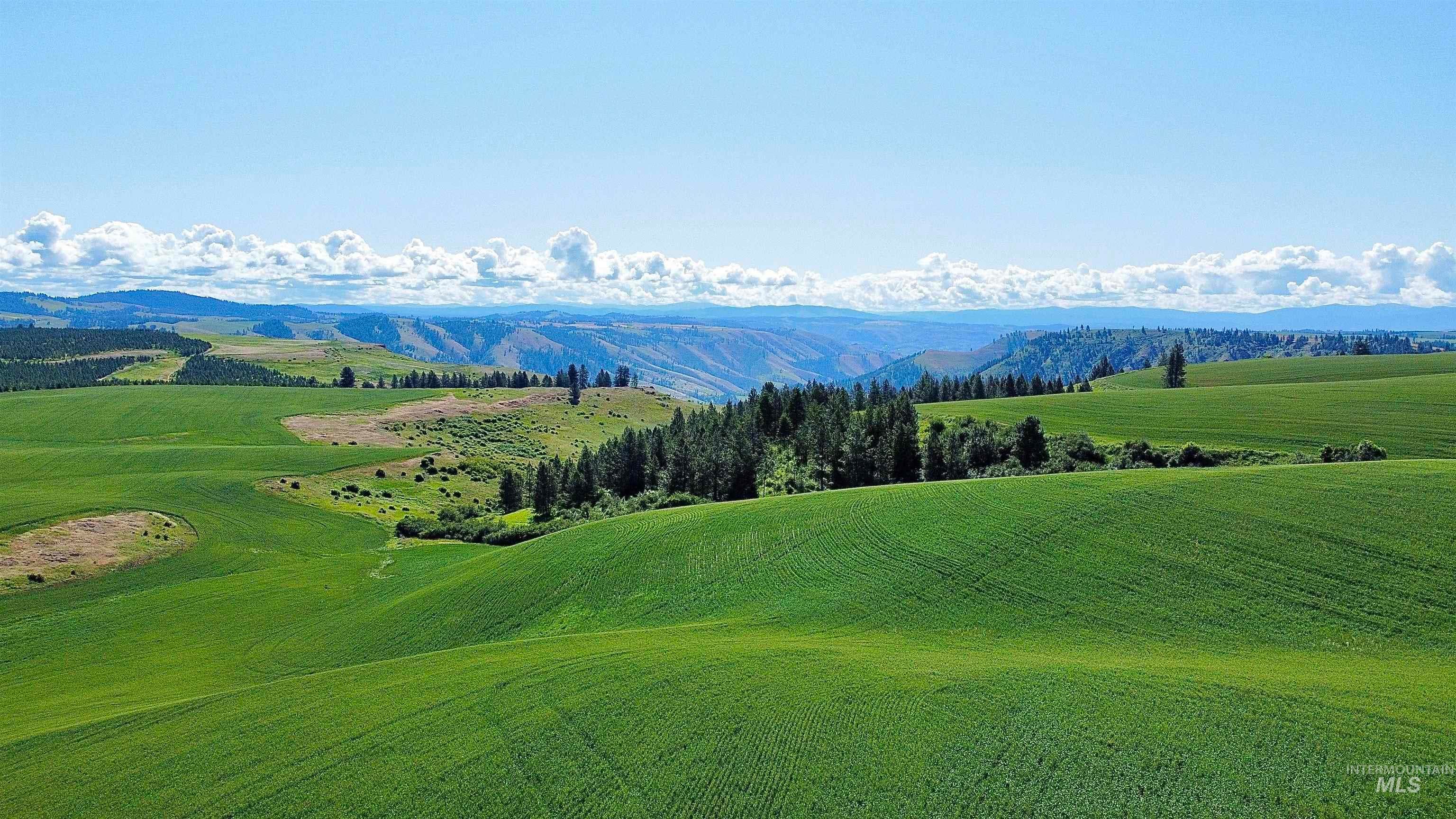 TBD Basket Rd, Nezperce